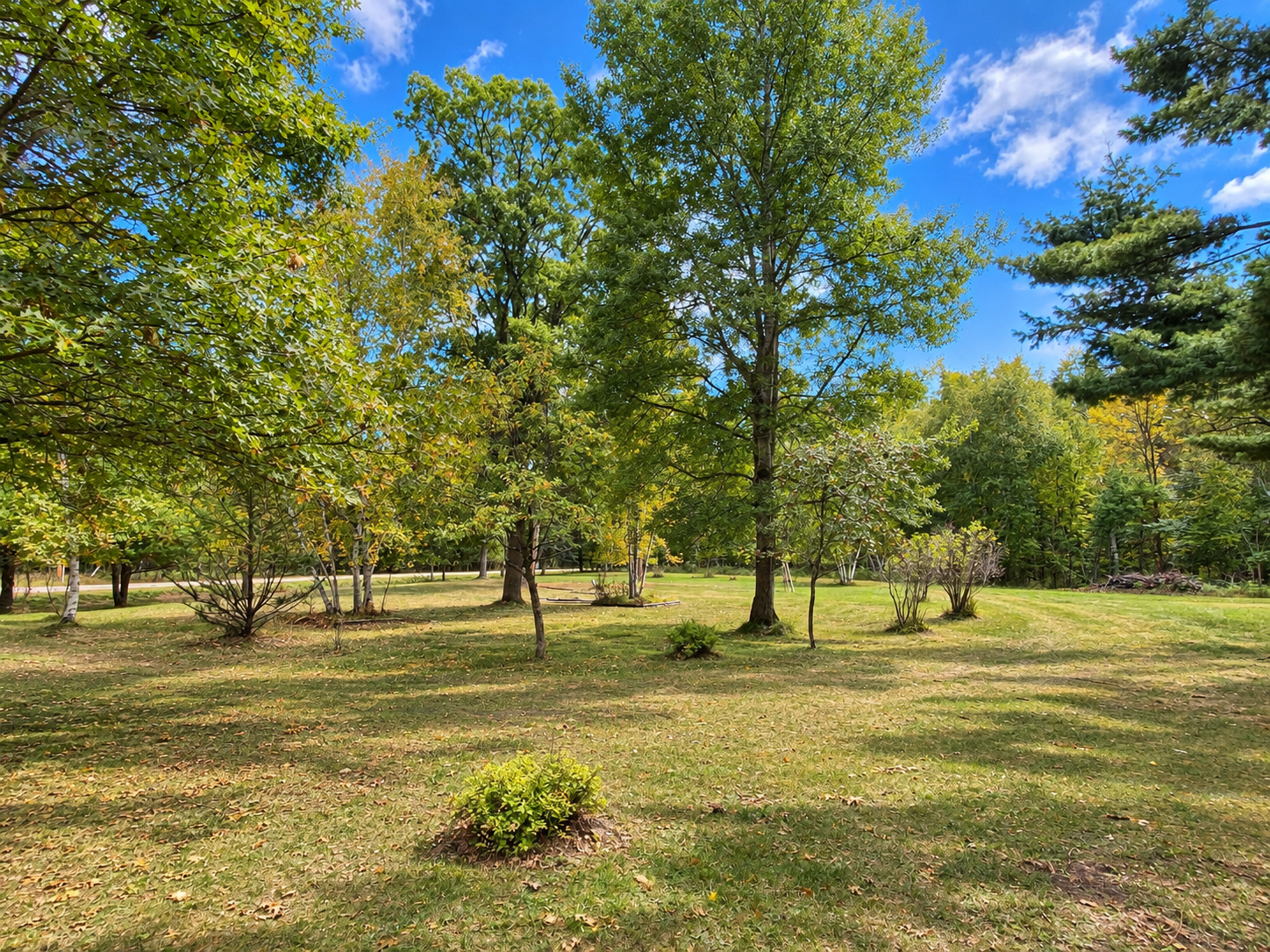 22838 Glenhaven Drive Property Photo 37