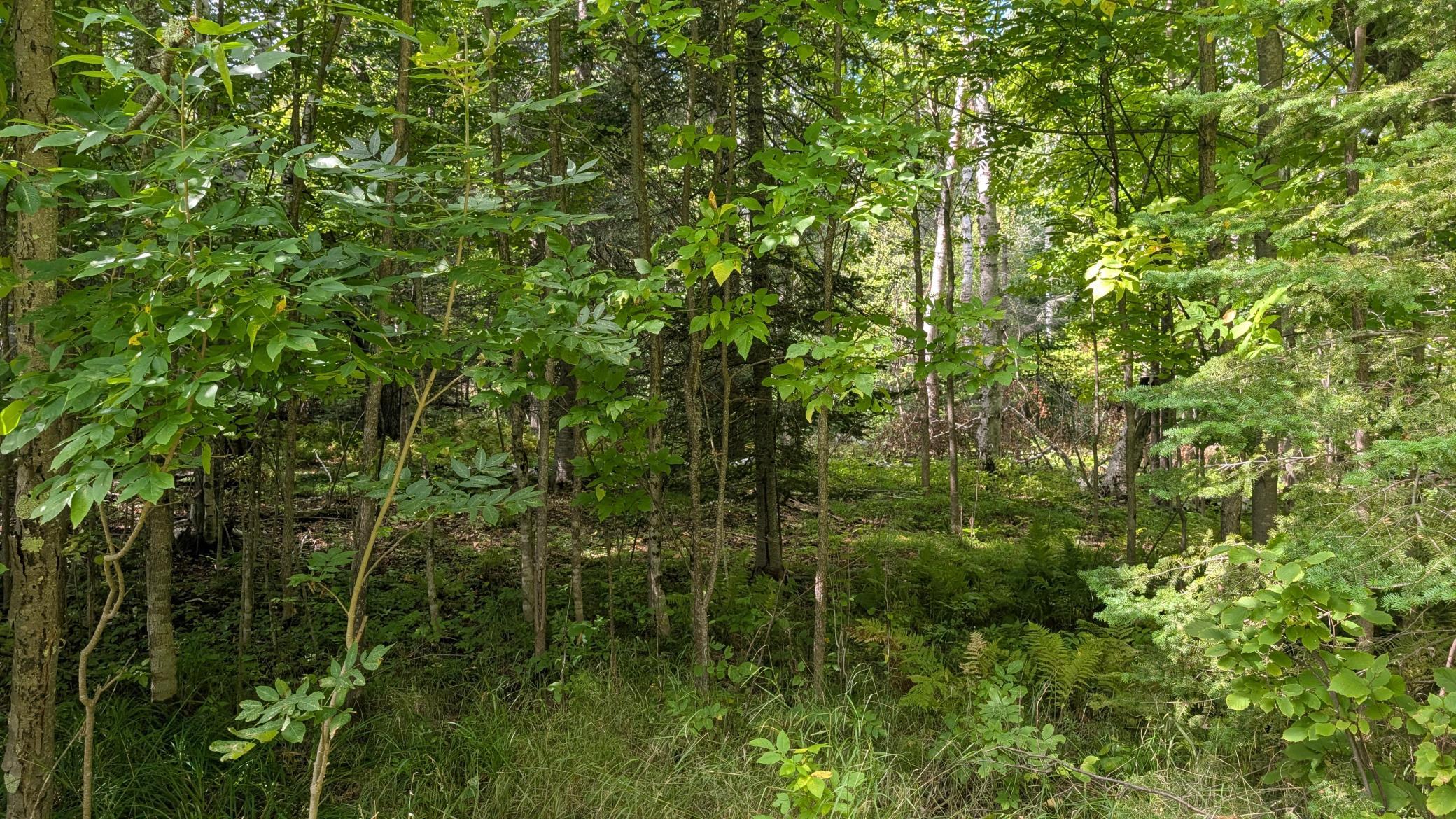 Lot B Everett Bay Rd Property Photo 8