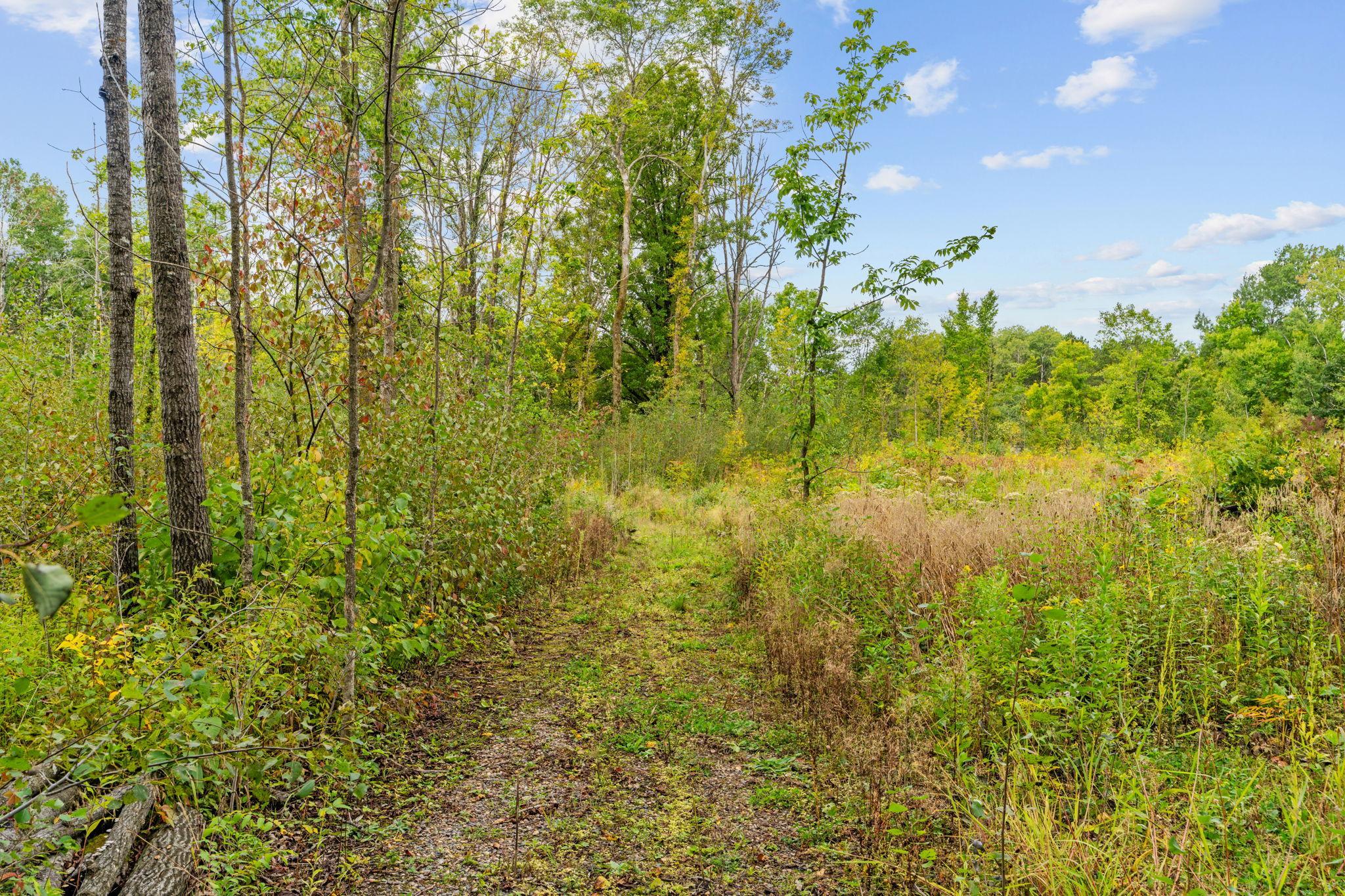 18965 124th Lane Property Photo 28