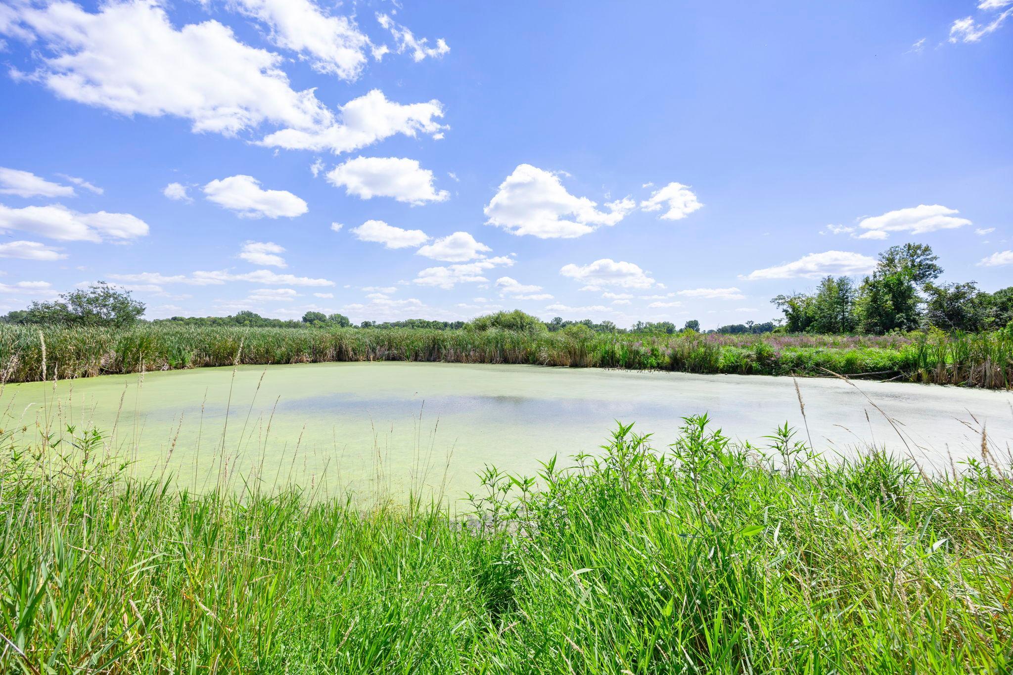 12020 Tilton Trail N Property Photo 47