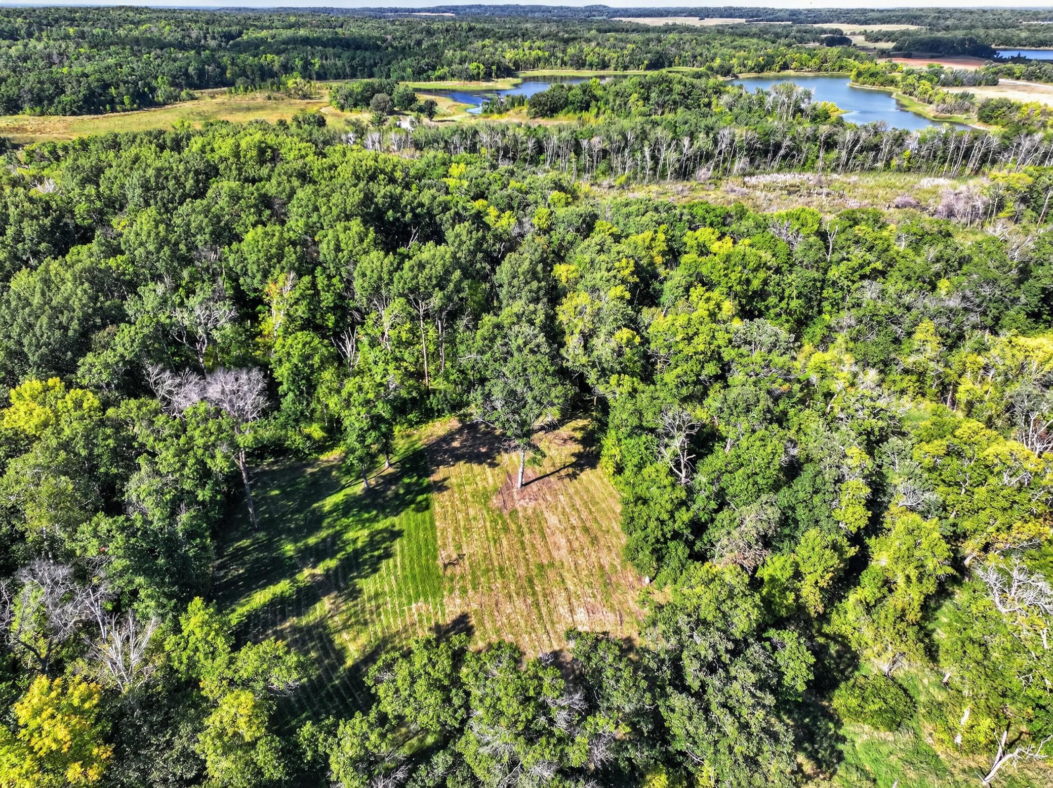 50540 Snow Lake Road Property Photo 51