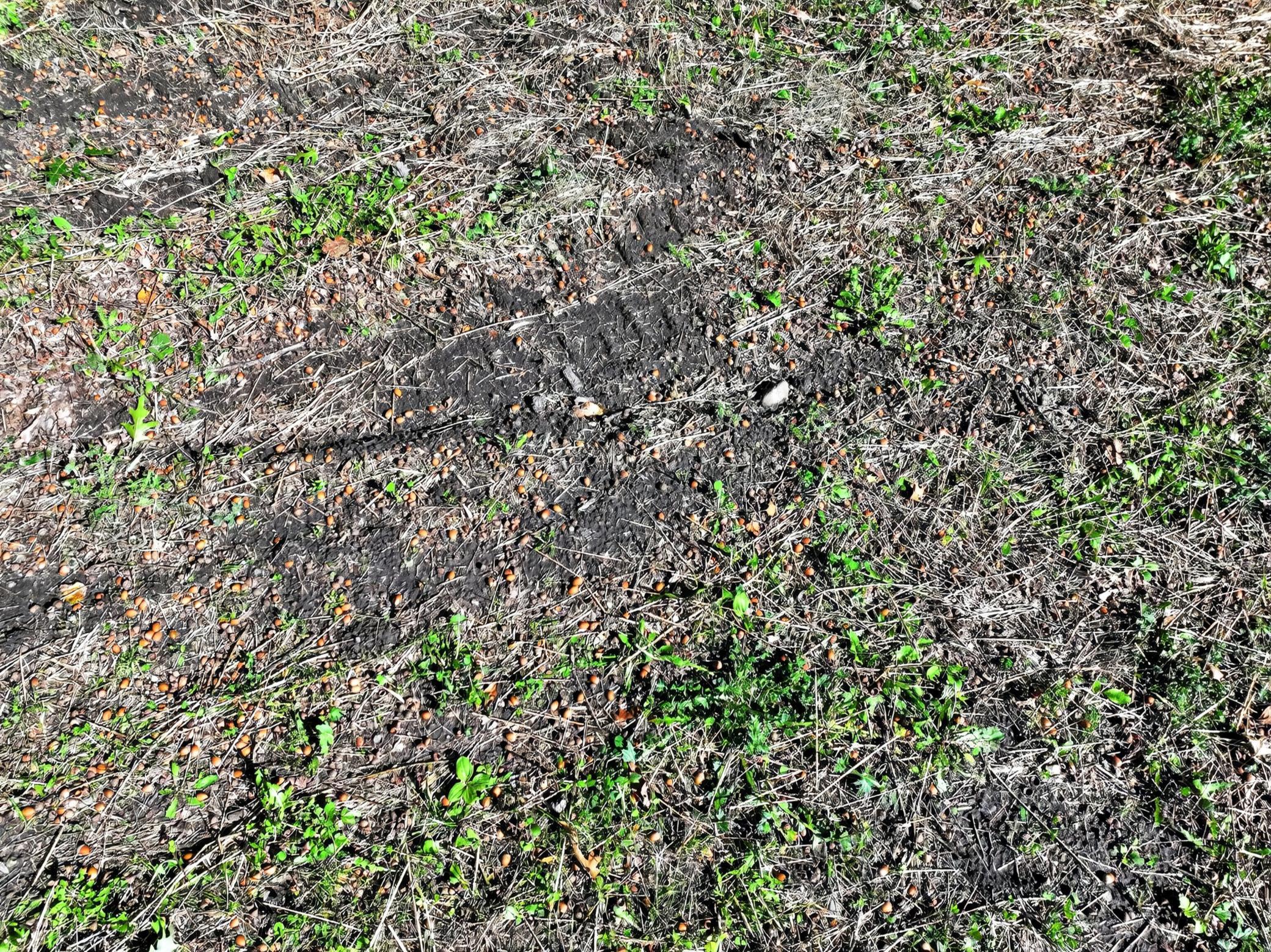 50540 Snow Lake Road Property Photo 54