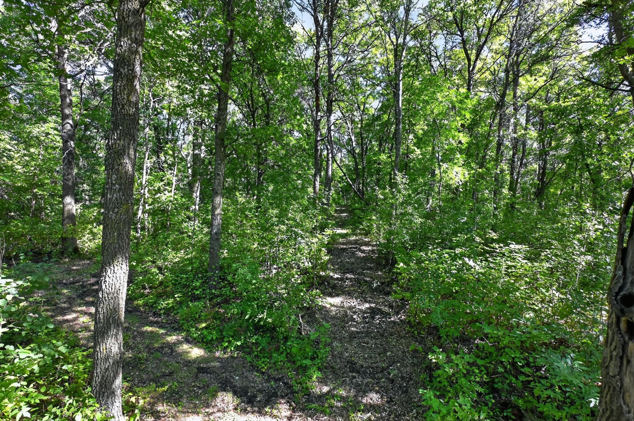 50540 Snow Lake Road Property Photo 56