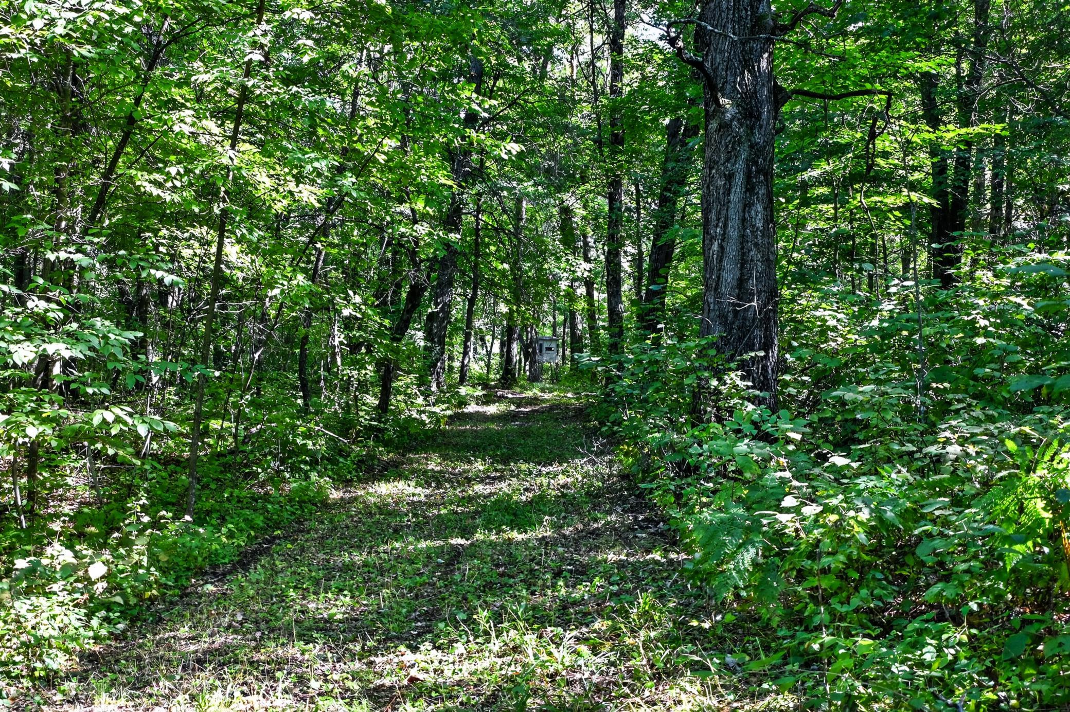 50540 Snow Lake Road Property Photo 58