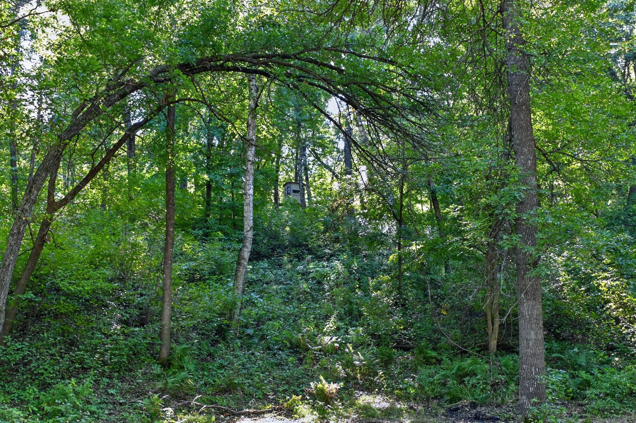 50540 Snow Lake Road Property Photo 59