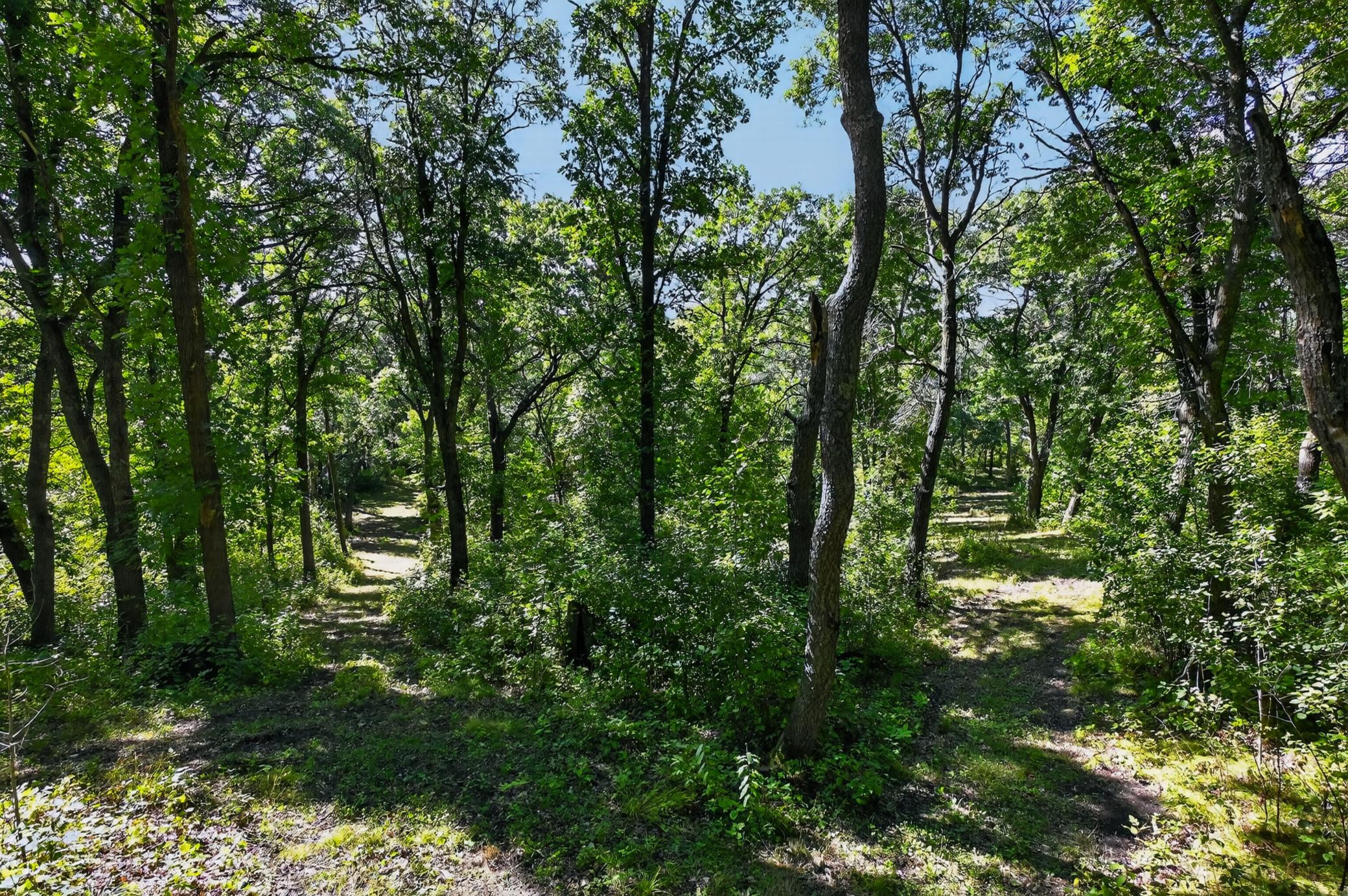 50540 Snow Lake Road Property Photo 60