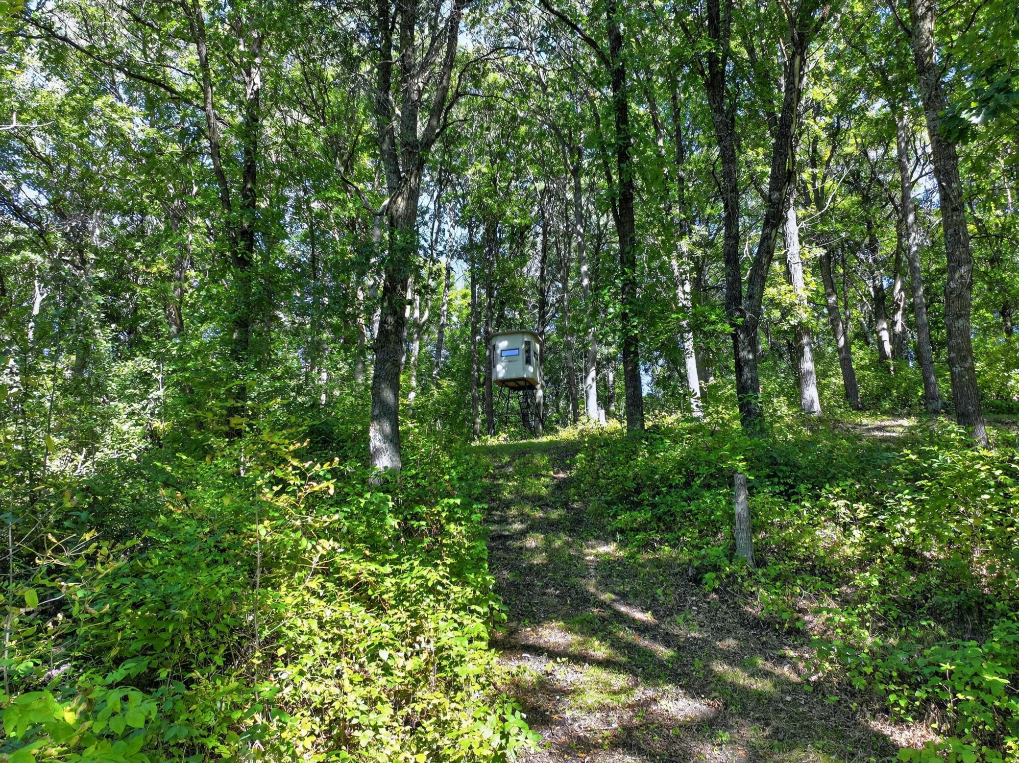 50540 Snow Lake Road Property Photo 61