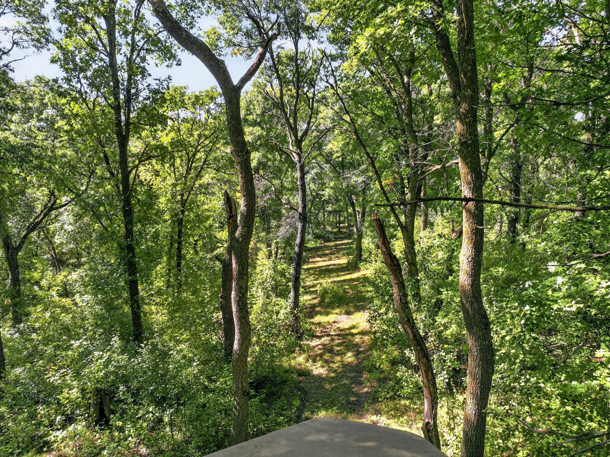 50540 Snow Lake Road Property Photo 62