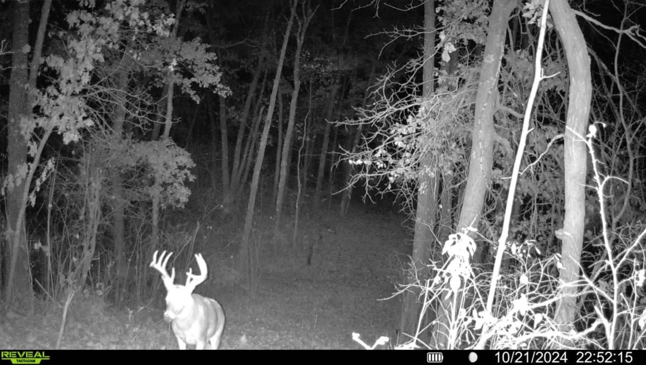 50540 Snow Lake Road Property Photo 89