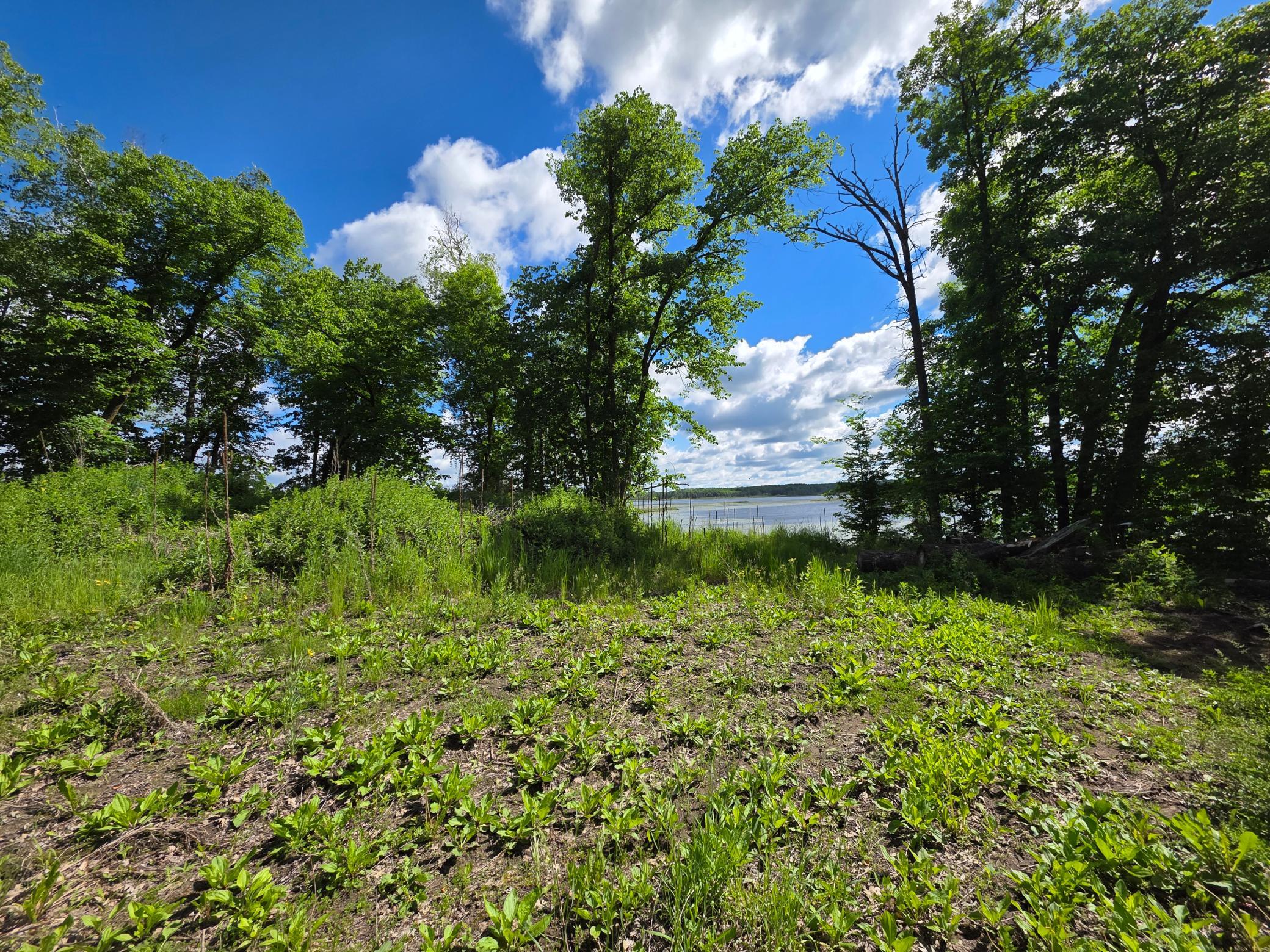Tbd St Hwy 113 Property Photo 2