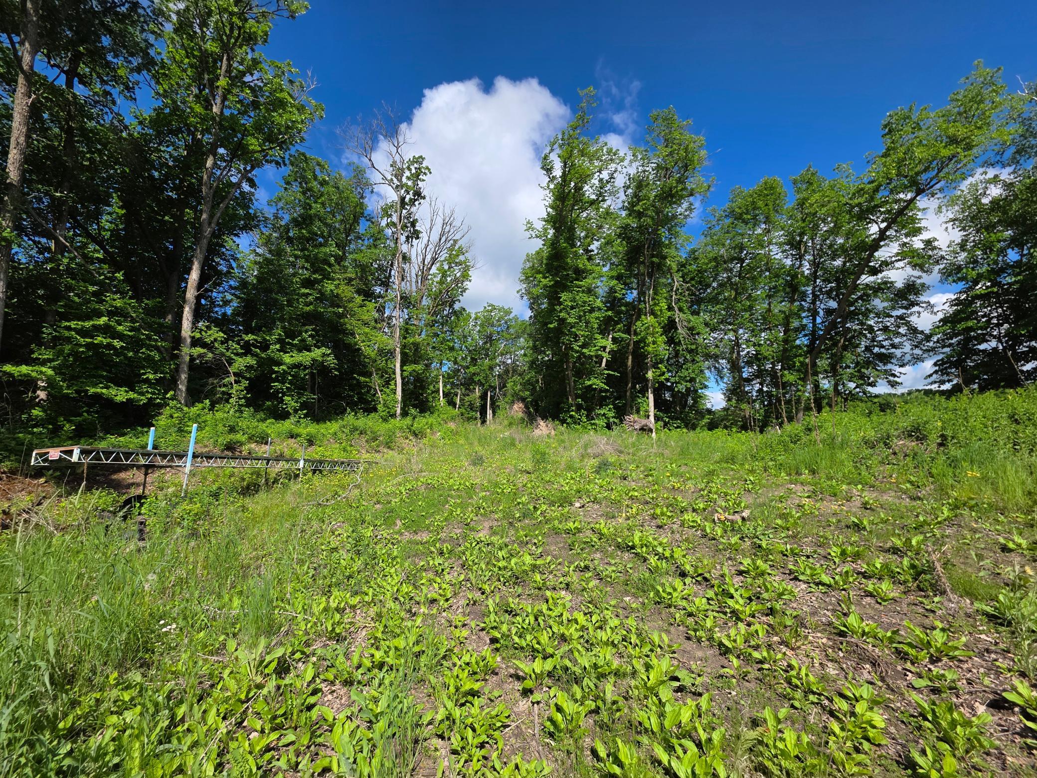 Tbd St Hwy 113 Property Photo 3