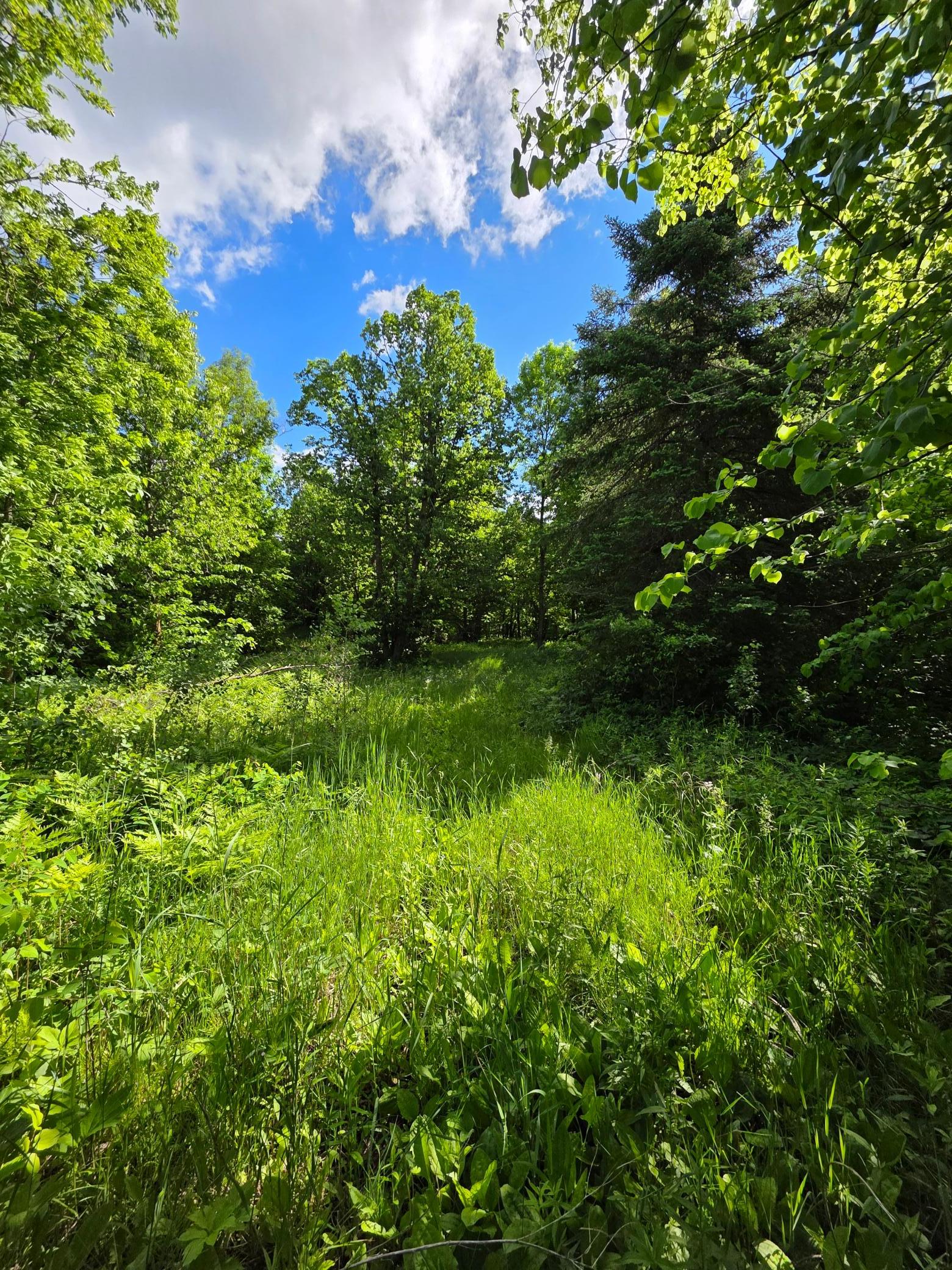 Tbd St Hwy 113 Property Photo 4