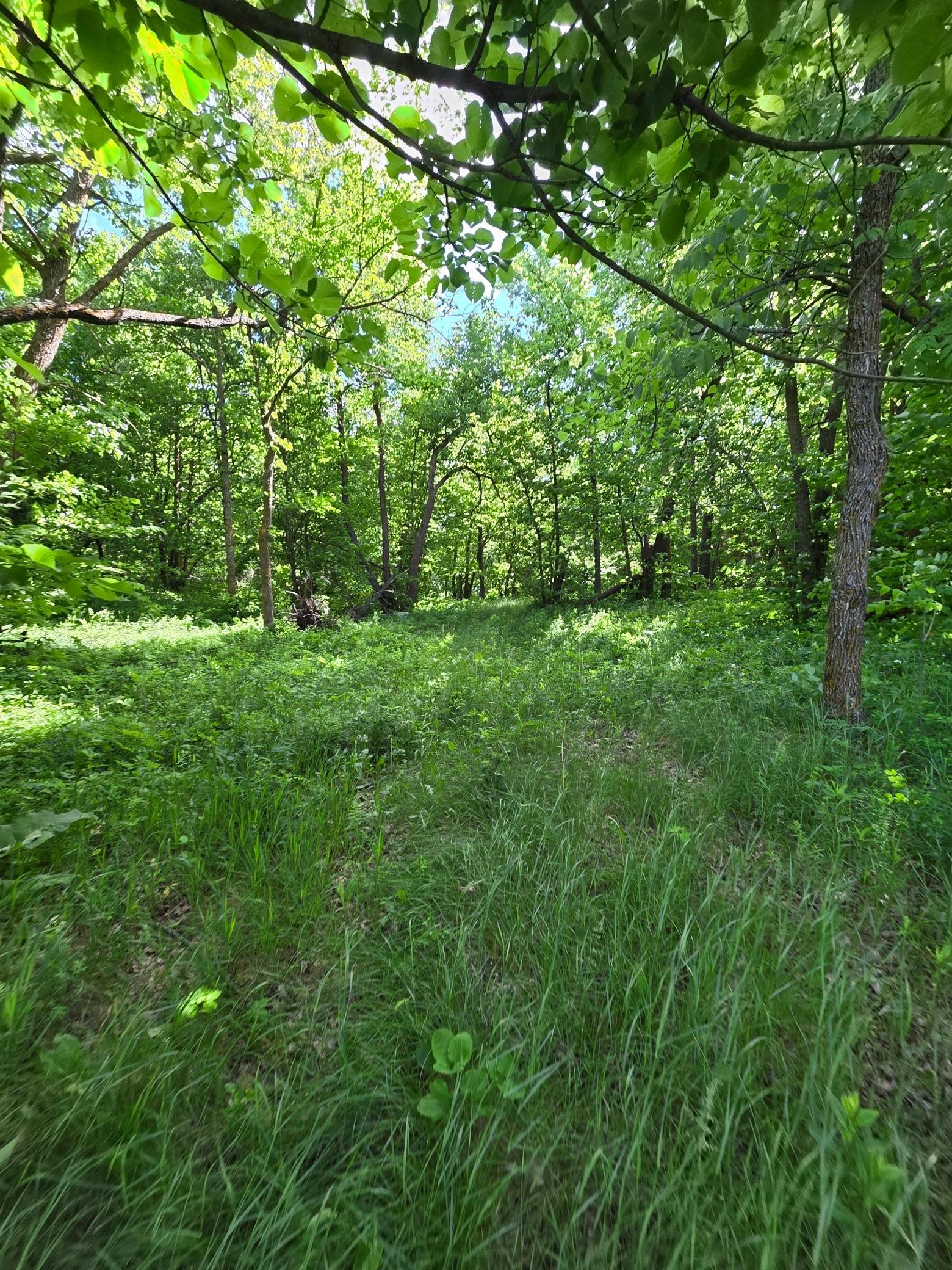 Tbd St Hwy 113 Property Photo 5