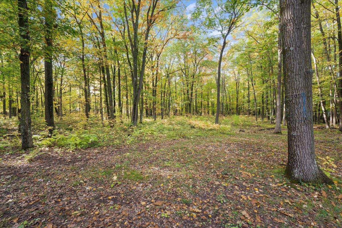 25261 Maple Tree Lane Property Photo 25