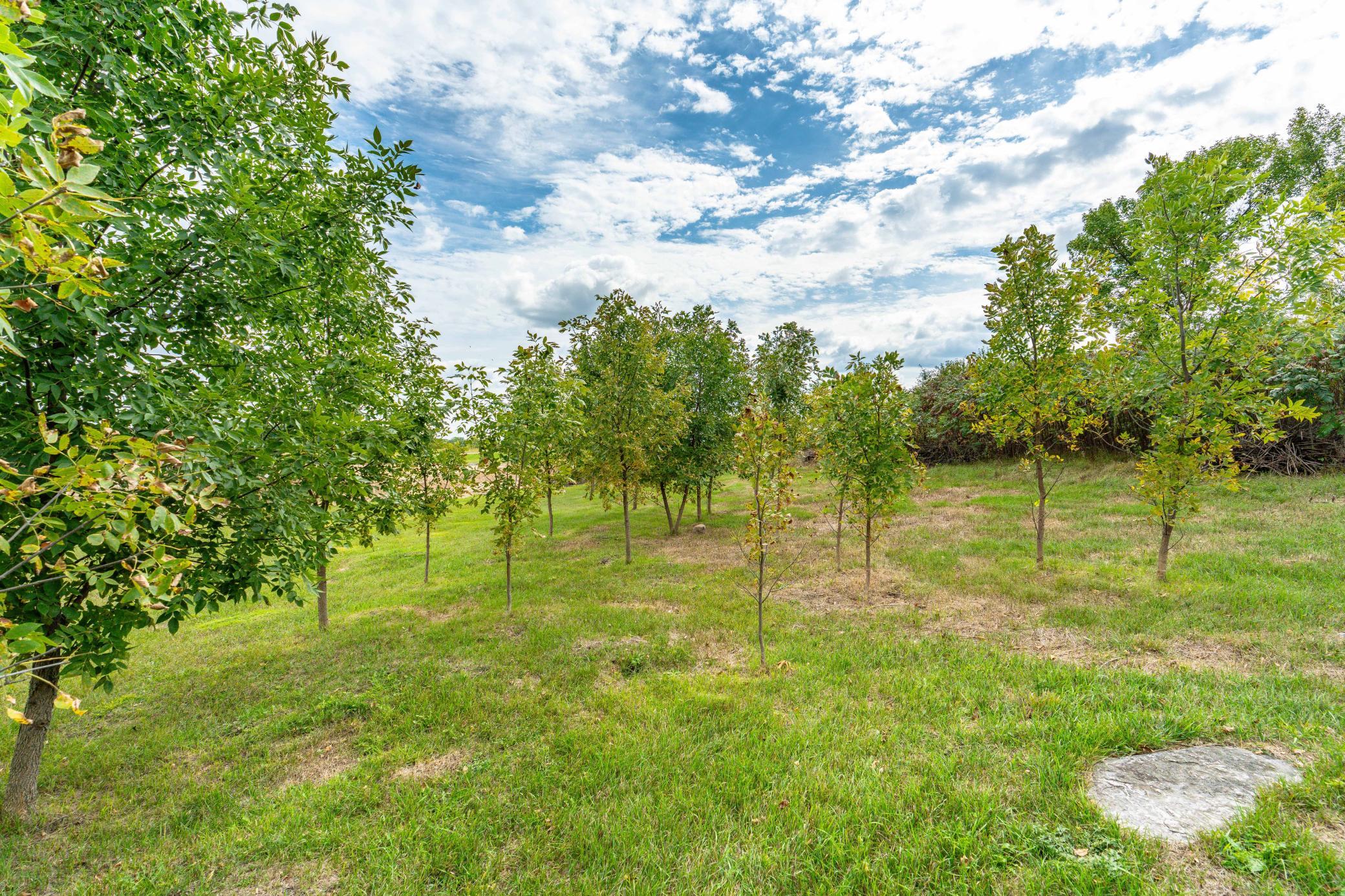3520 Scenic Drive Property Photo 7