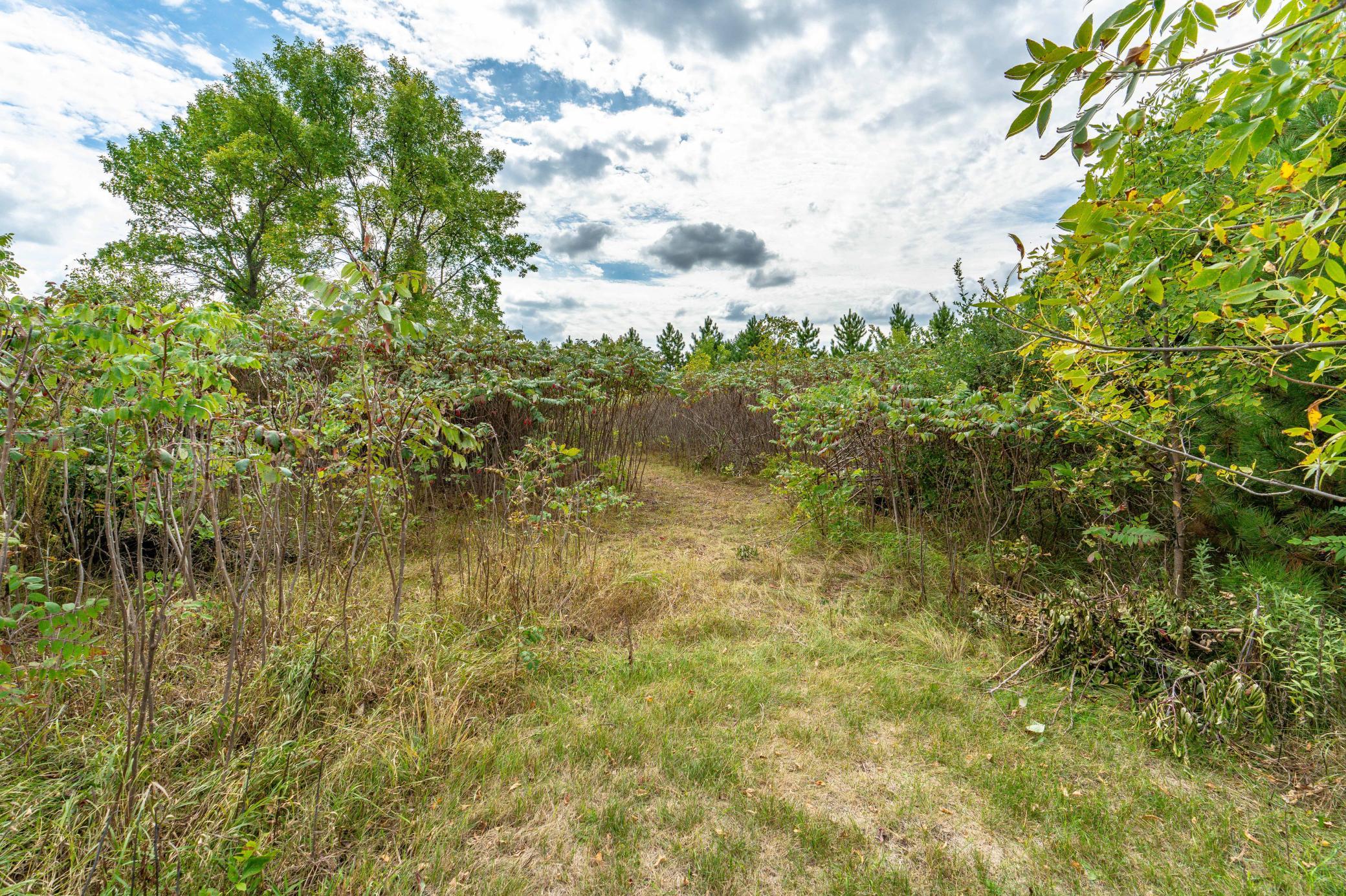 3520 Scenic Drive Property Photo 8
