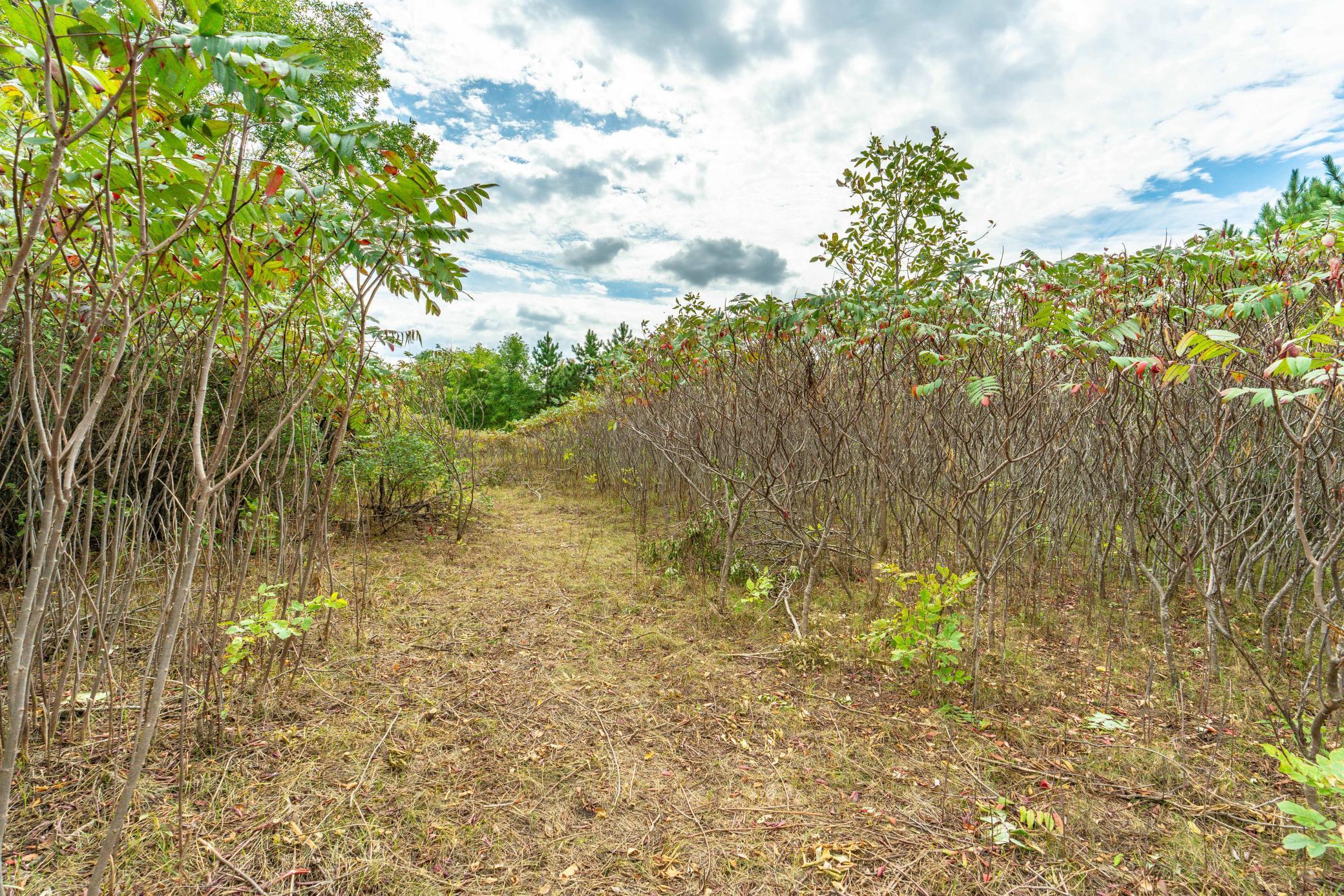 3520 Scenic Drive Property Photo 9