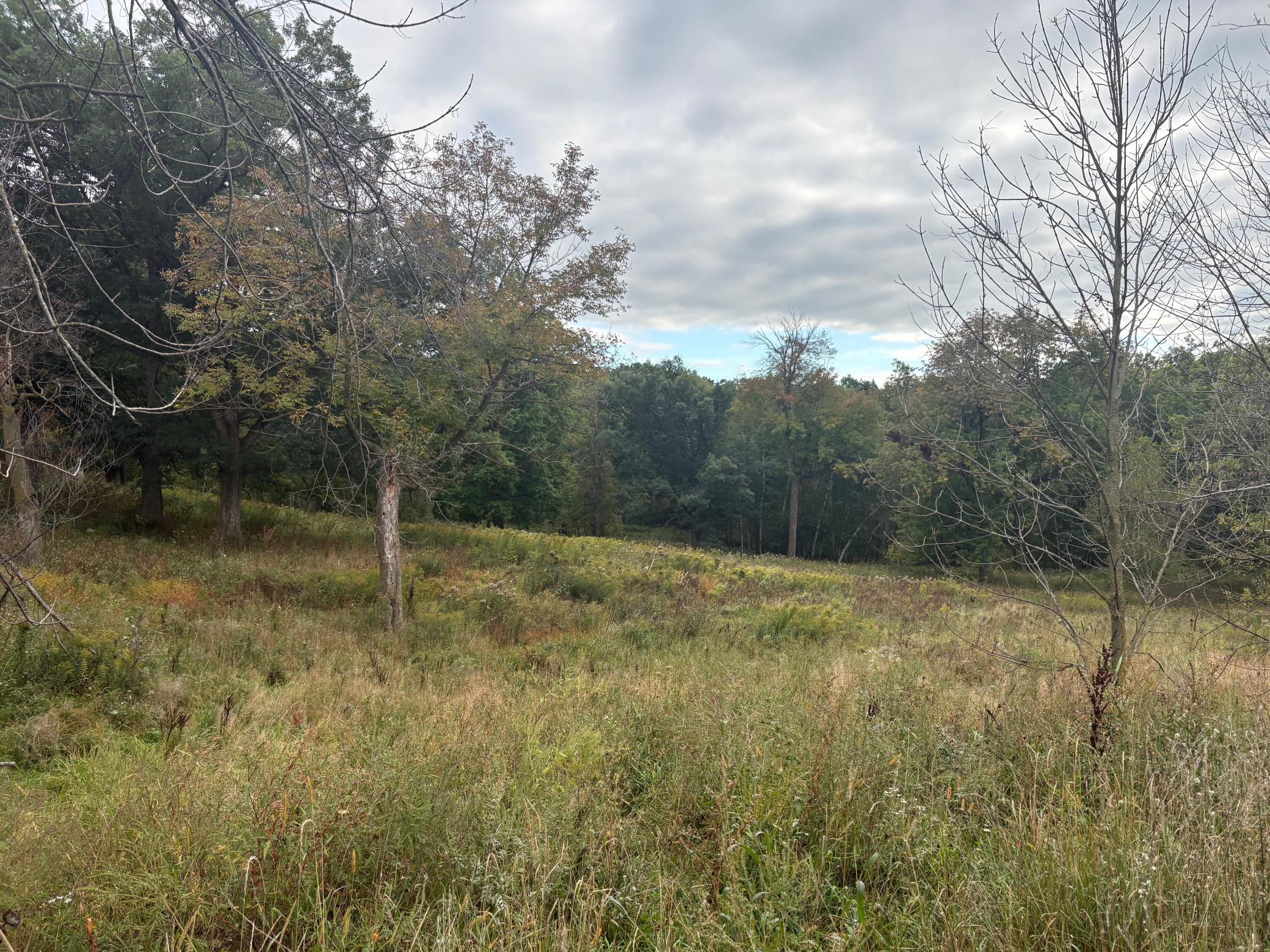 3095 Cty Rd Q Property Photo 35