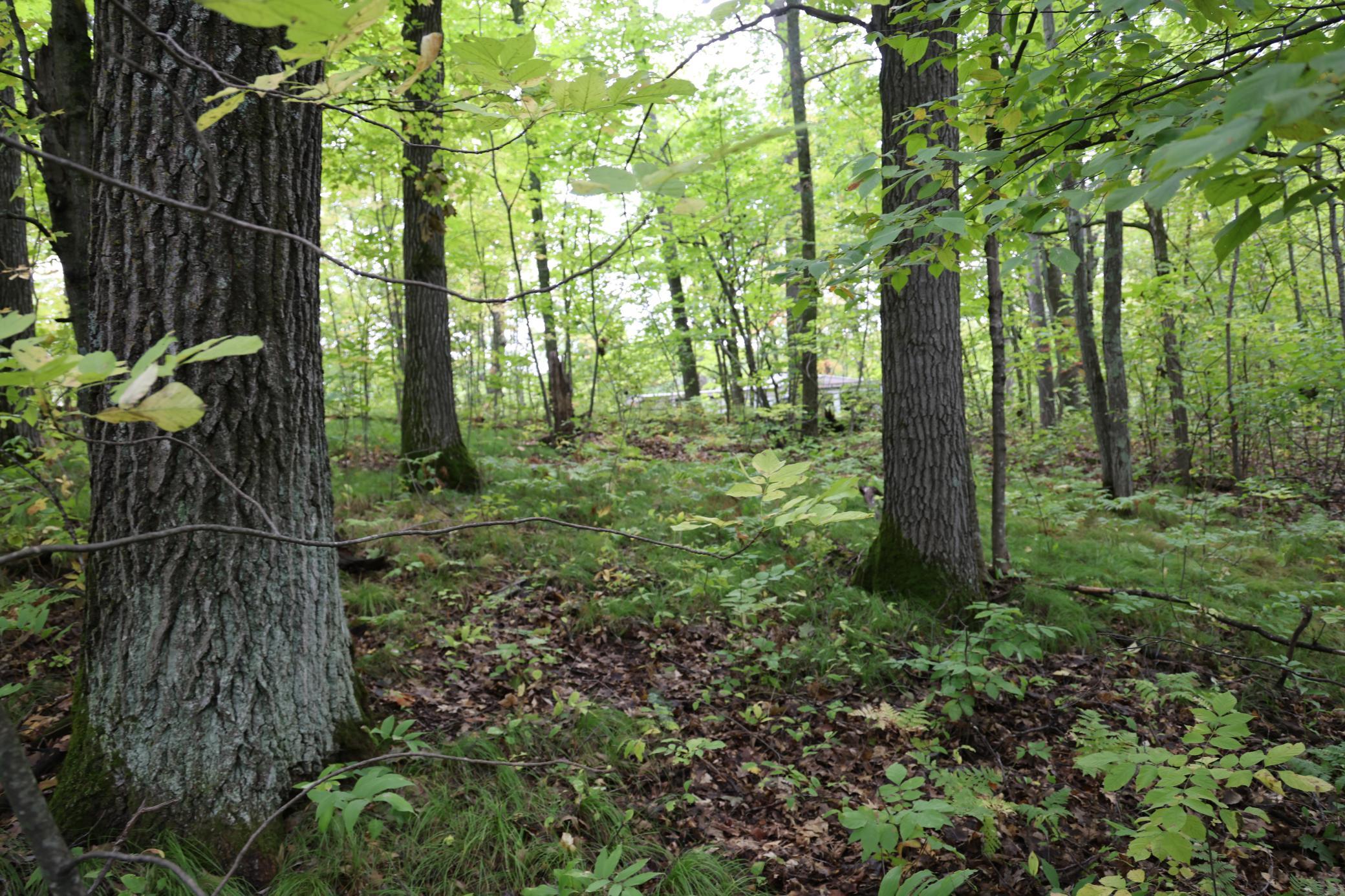468xx Sugarbrush Circle Property Photo 1