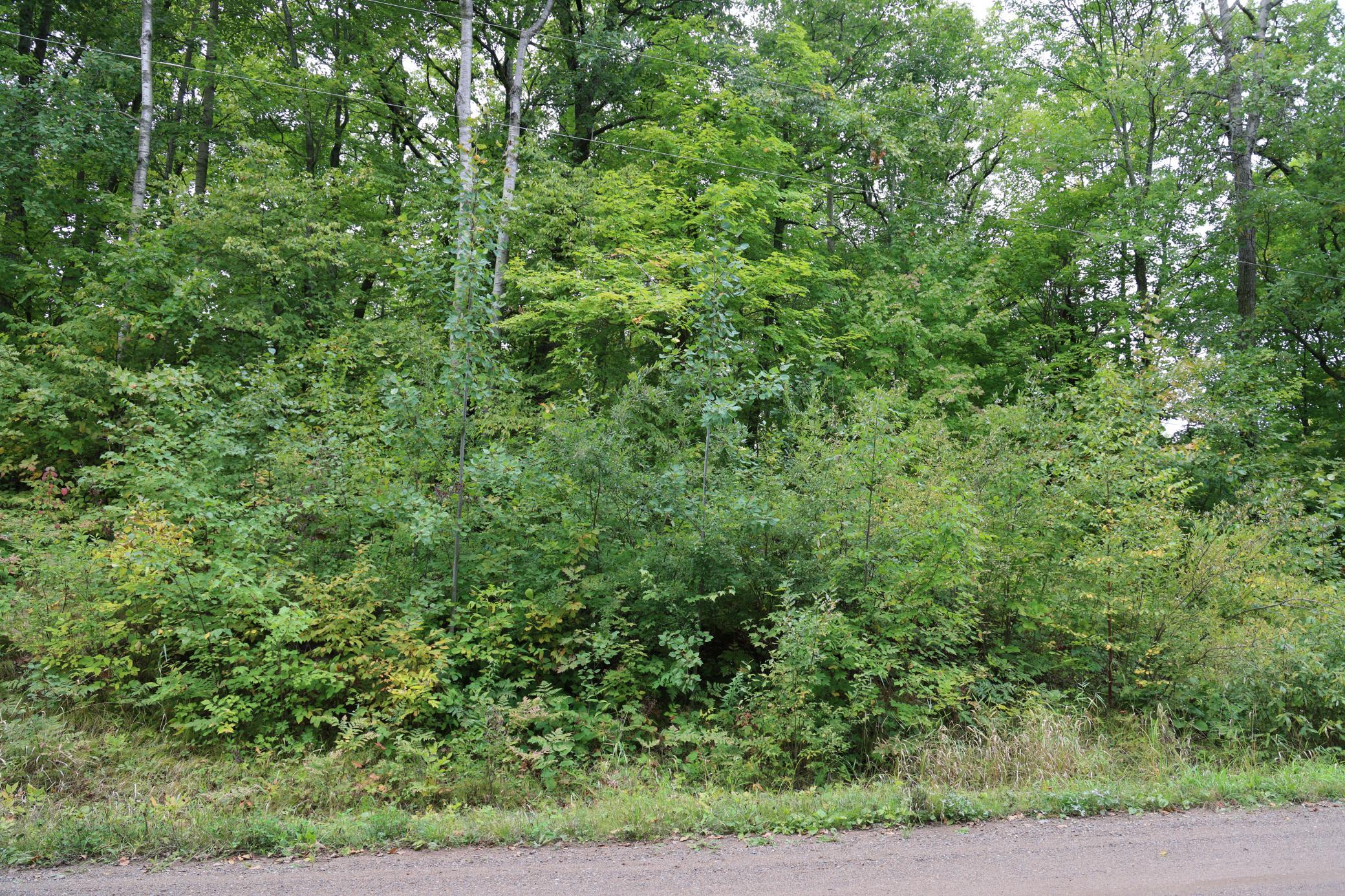 468xx Sugarbrush Circle Property Photo 5