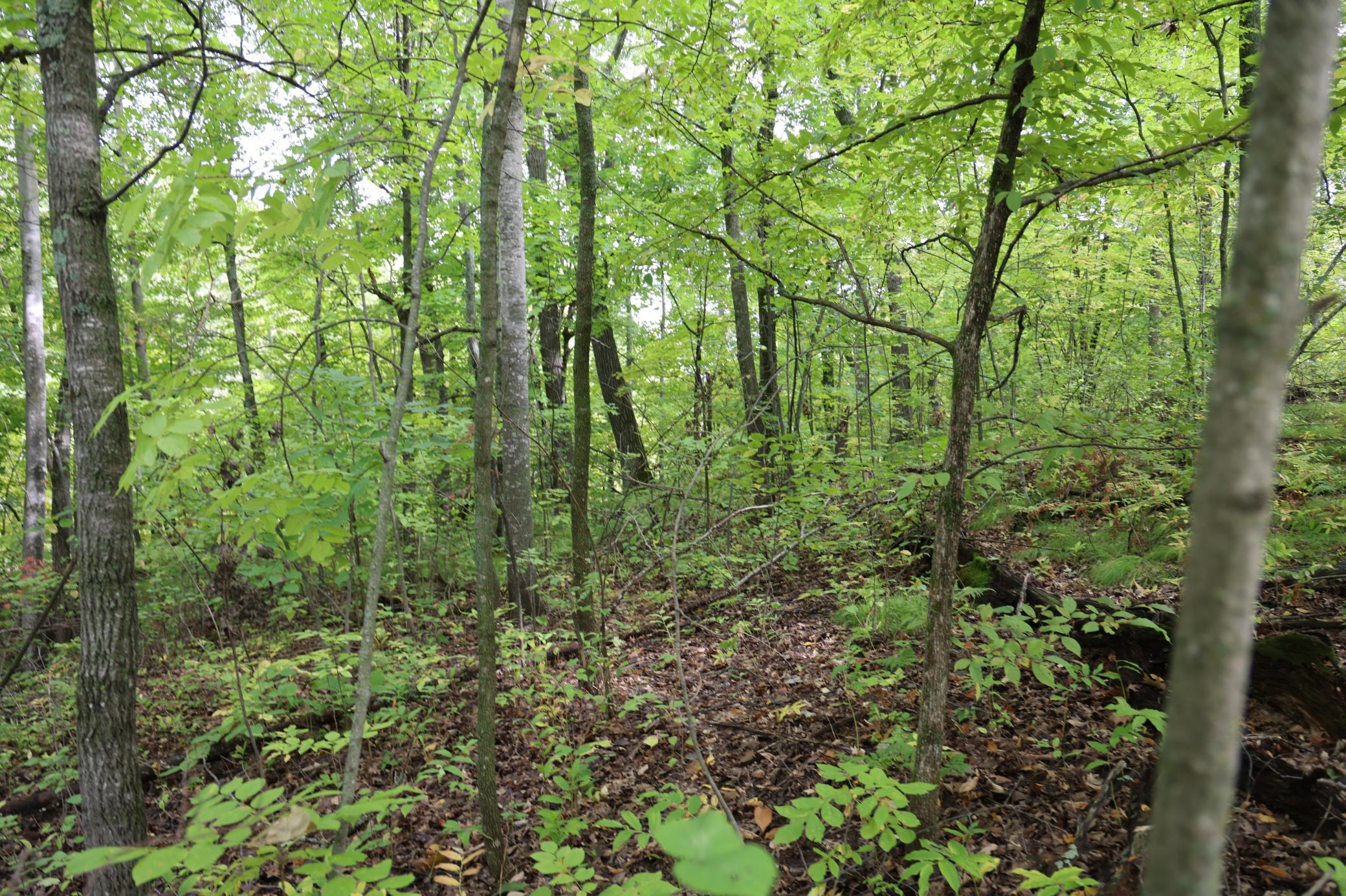 468xx Sugarbrush Circle Property Photo 7