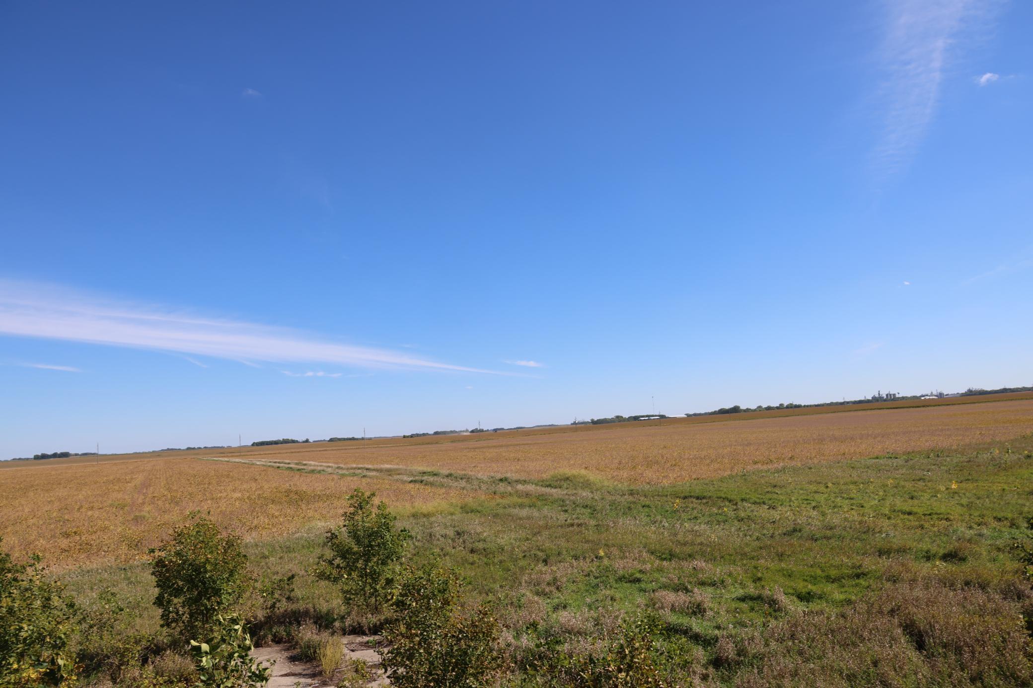 81893 470th Street Property Photo 4