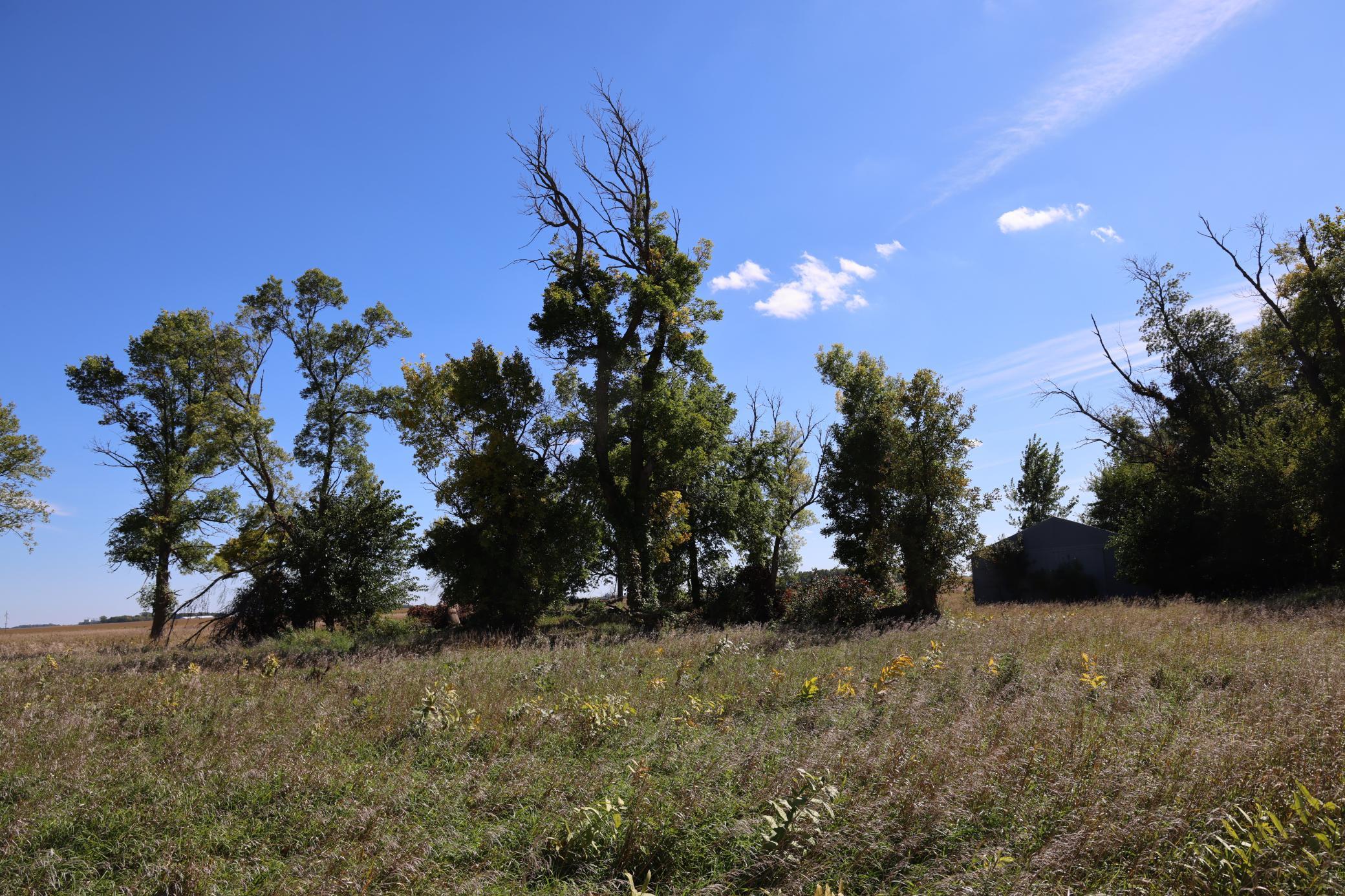 81893 470th Street Property Photo 11
