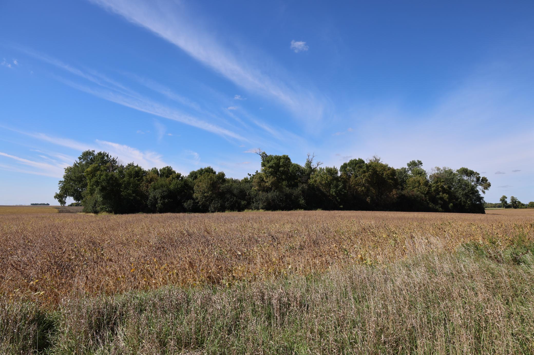 81893 470th Street Property Photo 12