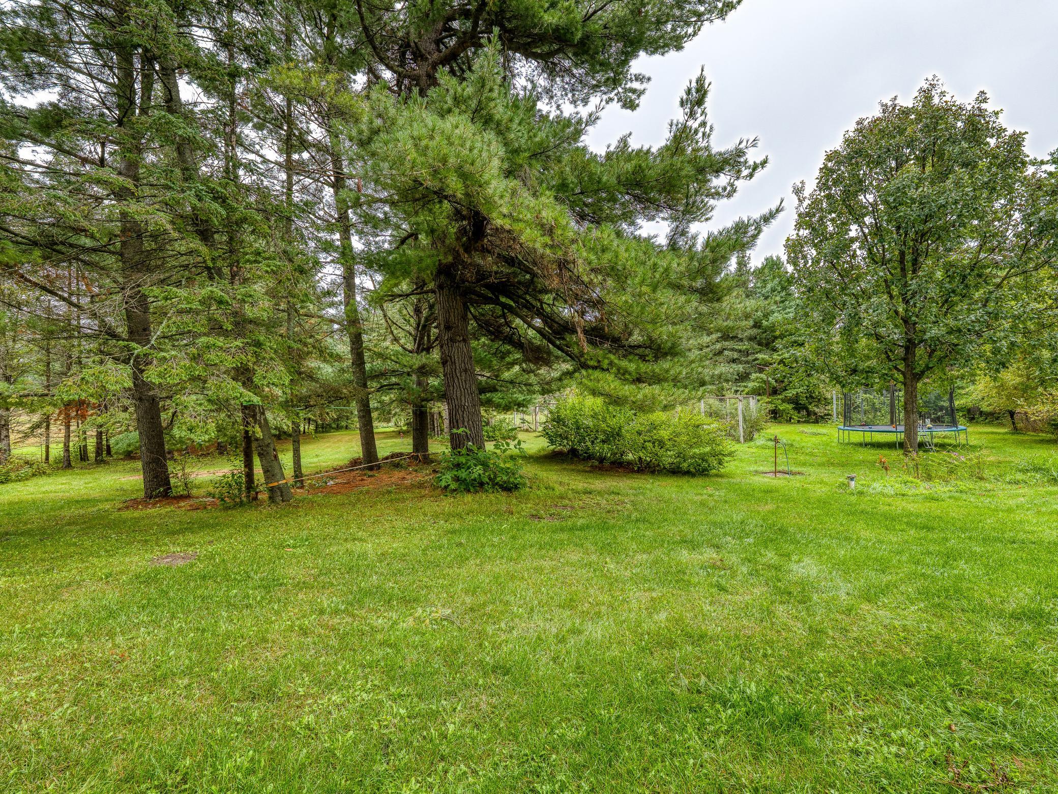 11081 Hillcrest Drive Ne Property Photo 48