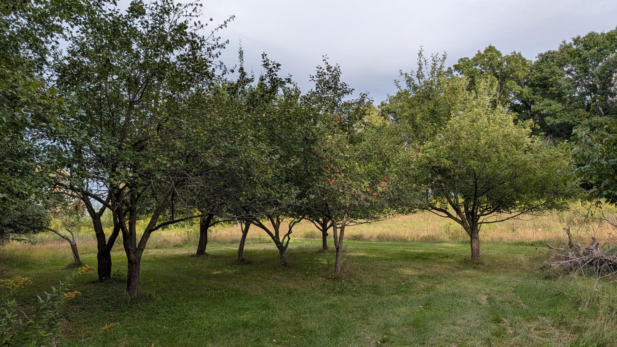 361 Oak Knoll Drive Property Photo 7