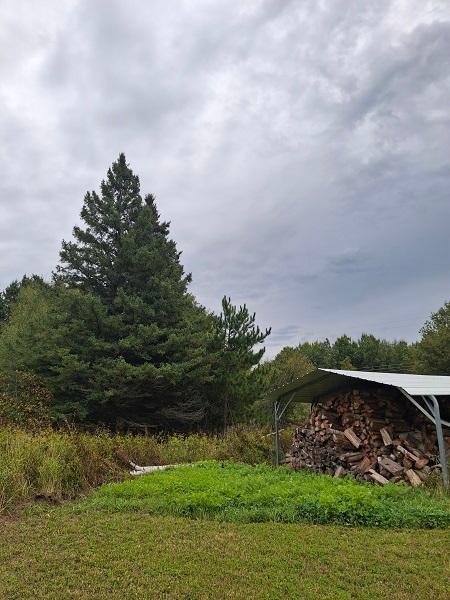 22194 Pennala Cartway Property Photo 5
