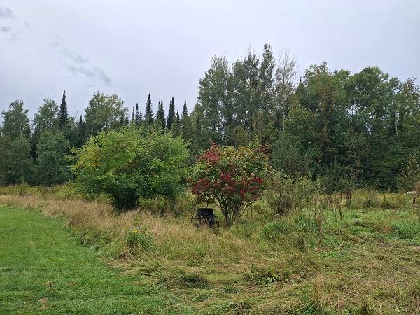 22194 Pennala Cartway Property Photo 6