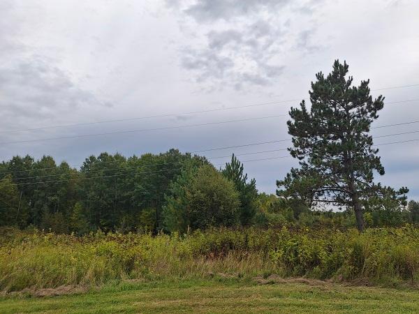 22194 Pennala Cartway Property Photo 7