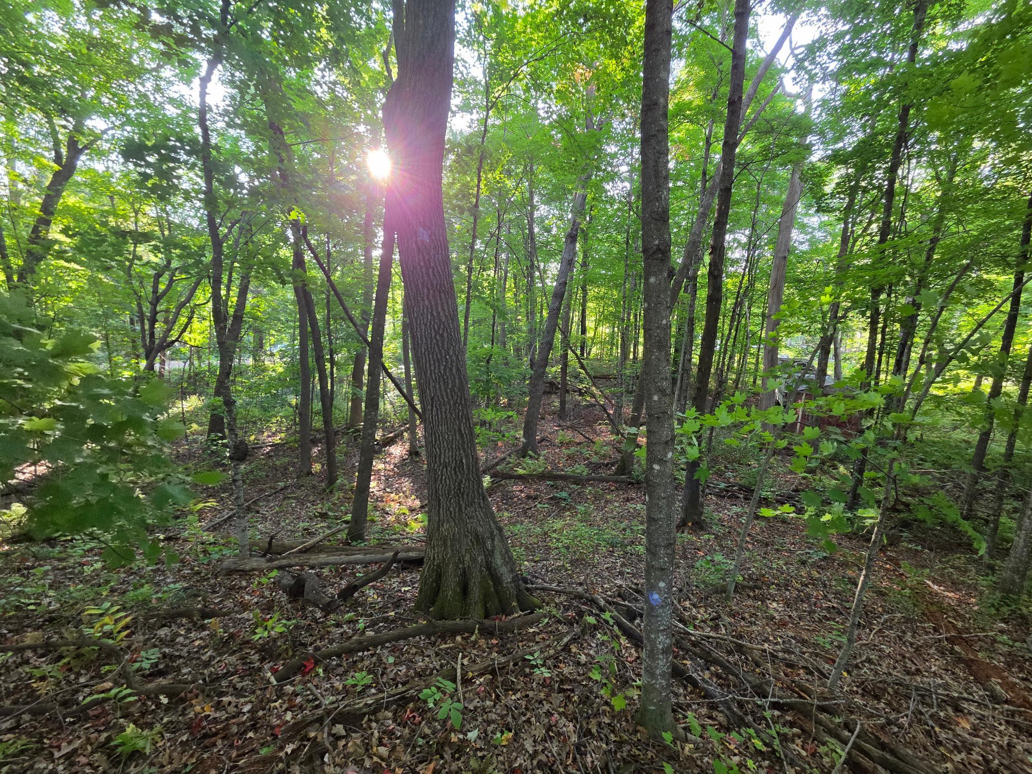 Tbd Deer Trail Property Photo 1