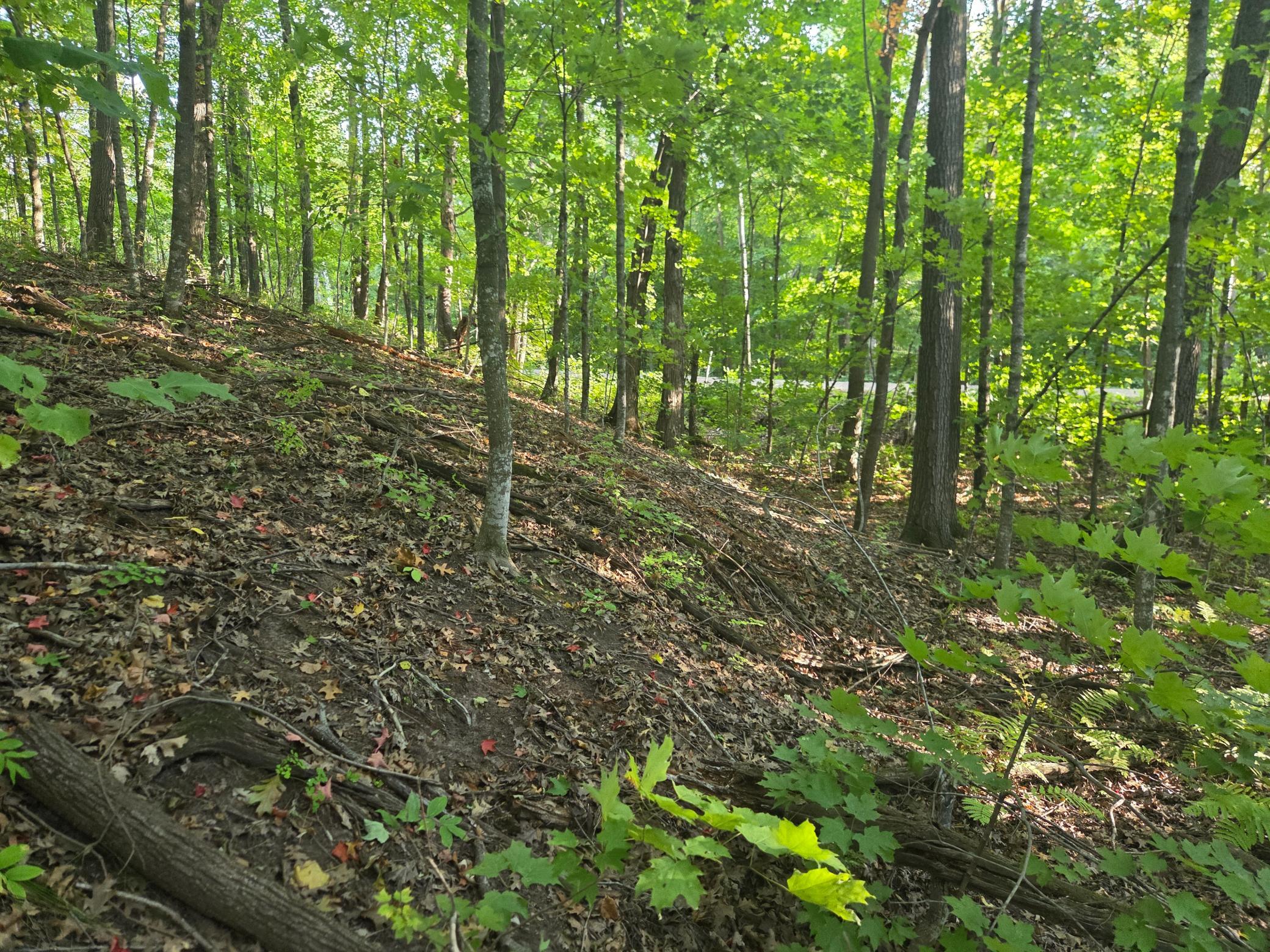 Tbd Deer Trail Property Photo 3