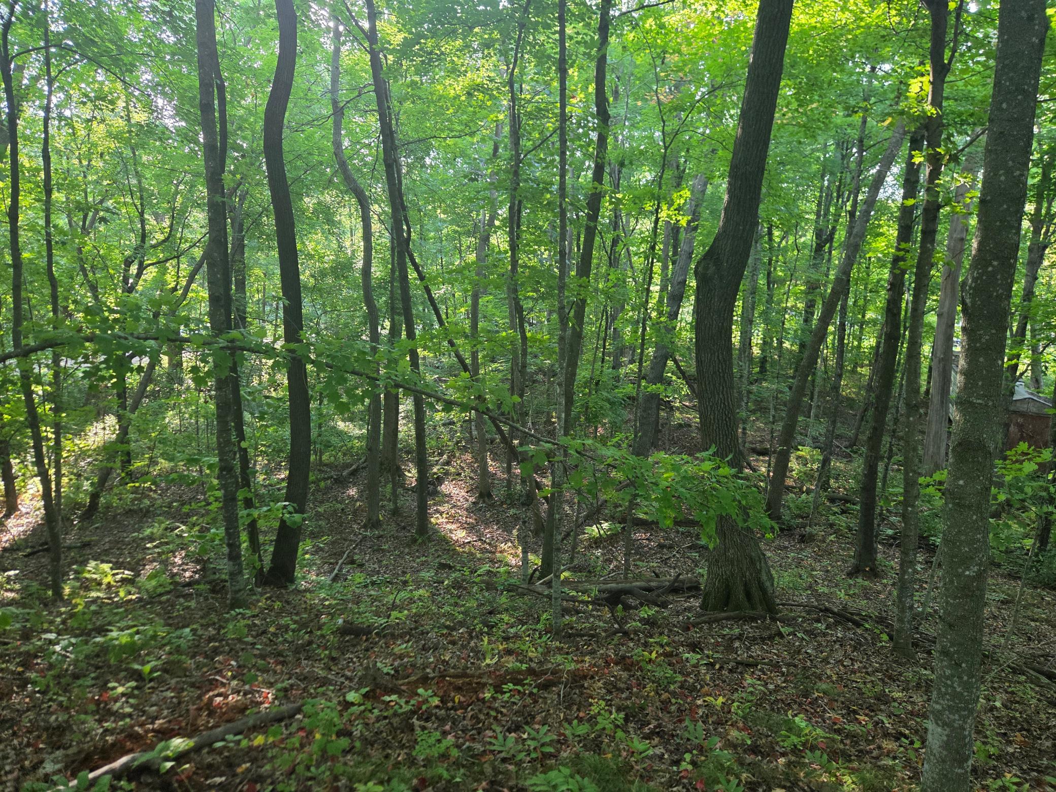 Tbd Deer Trail Property Photo 4