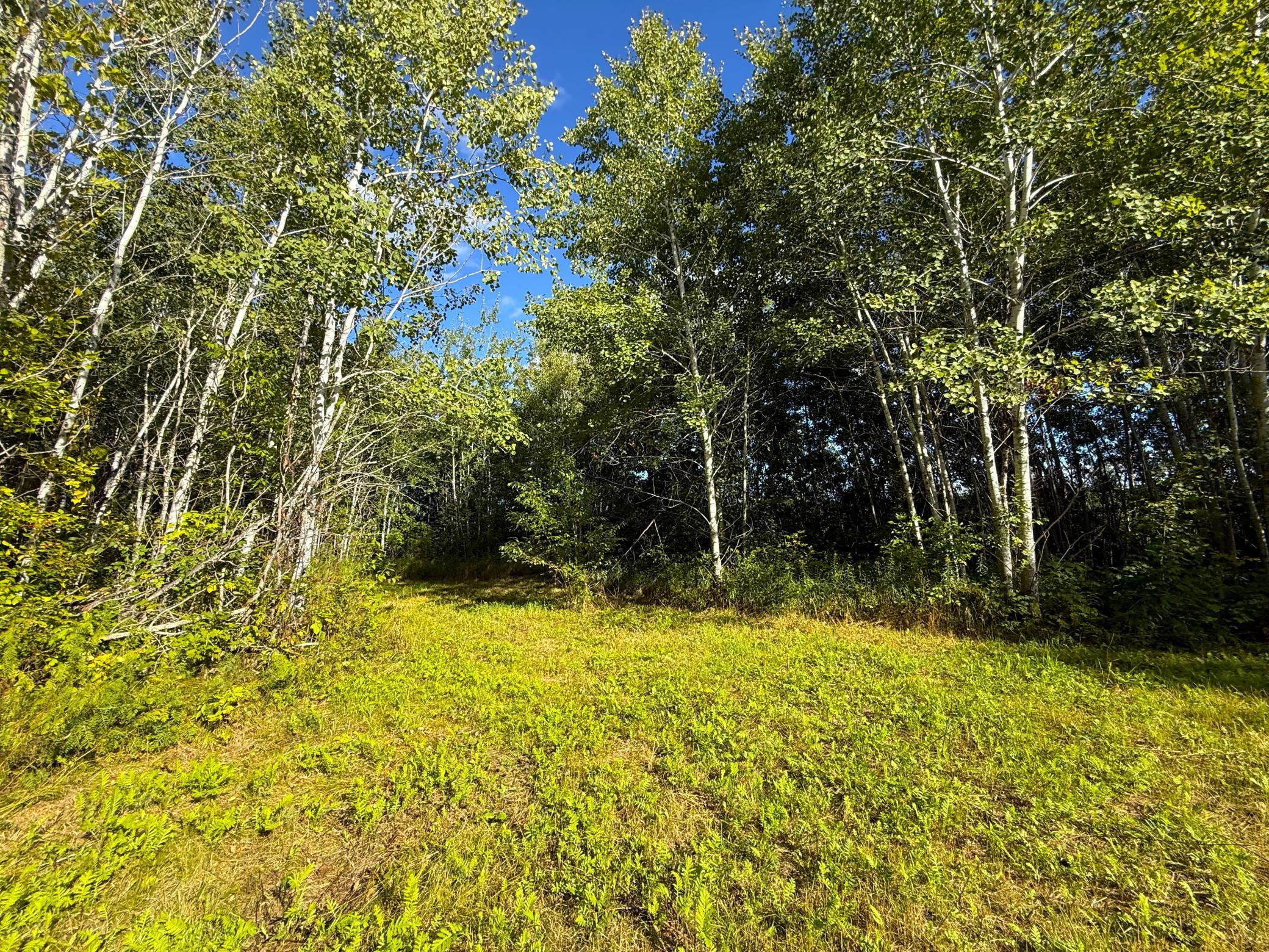 12084 County Road 144 Property Photo 1