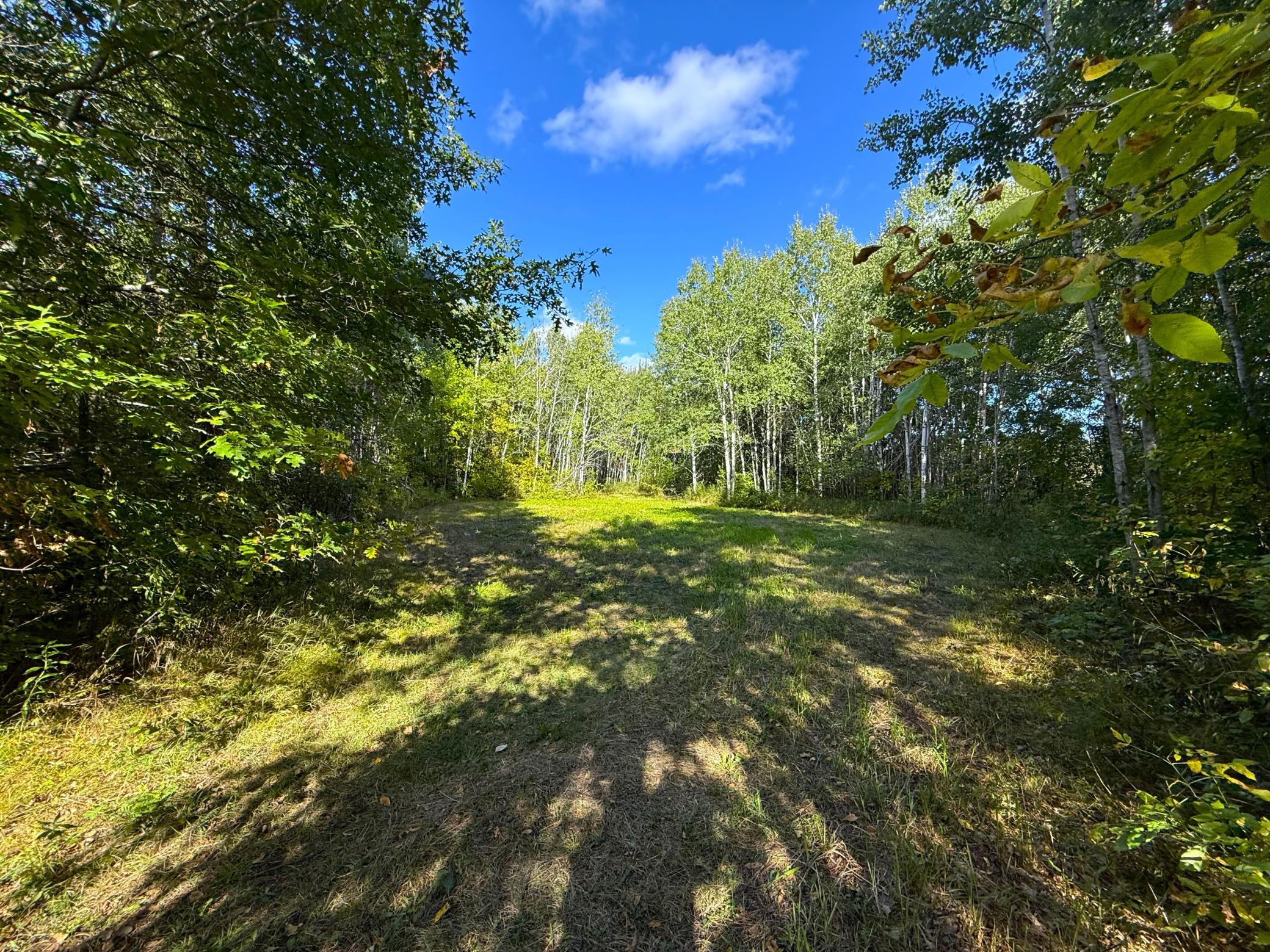 12084 County Road 144 Property Photo 5