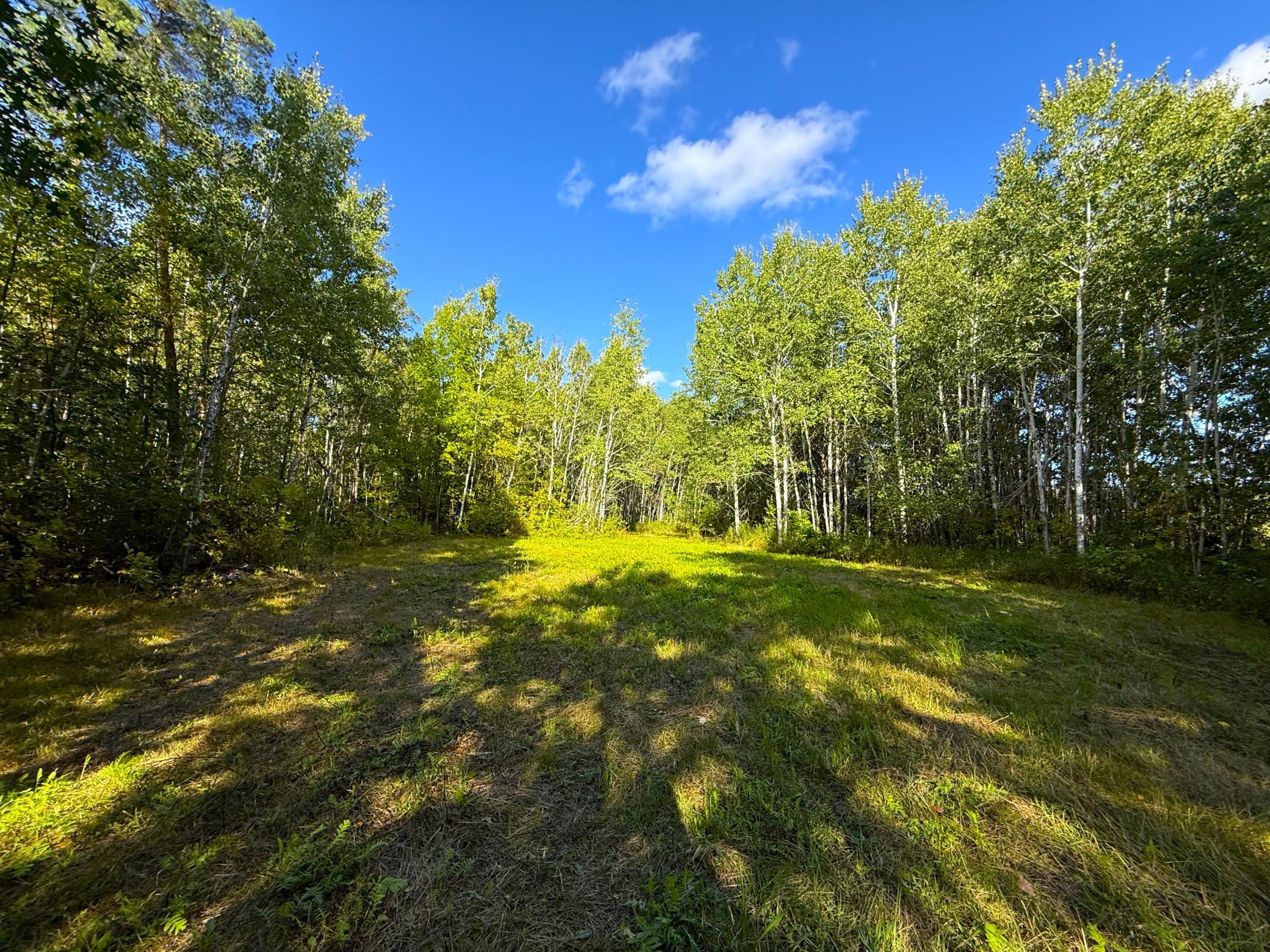 12084 County Road 144 Property Photo 6