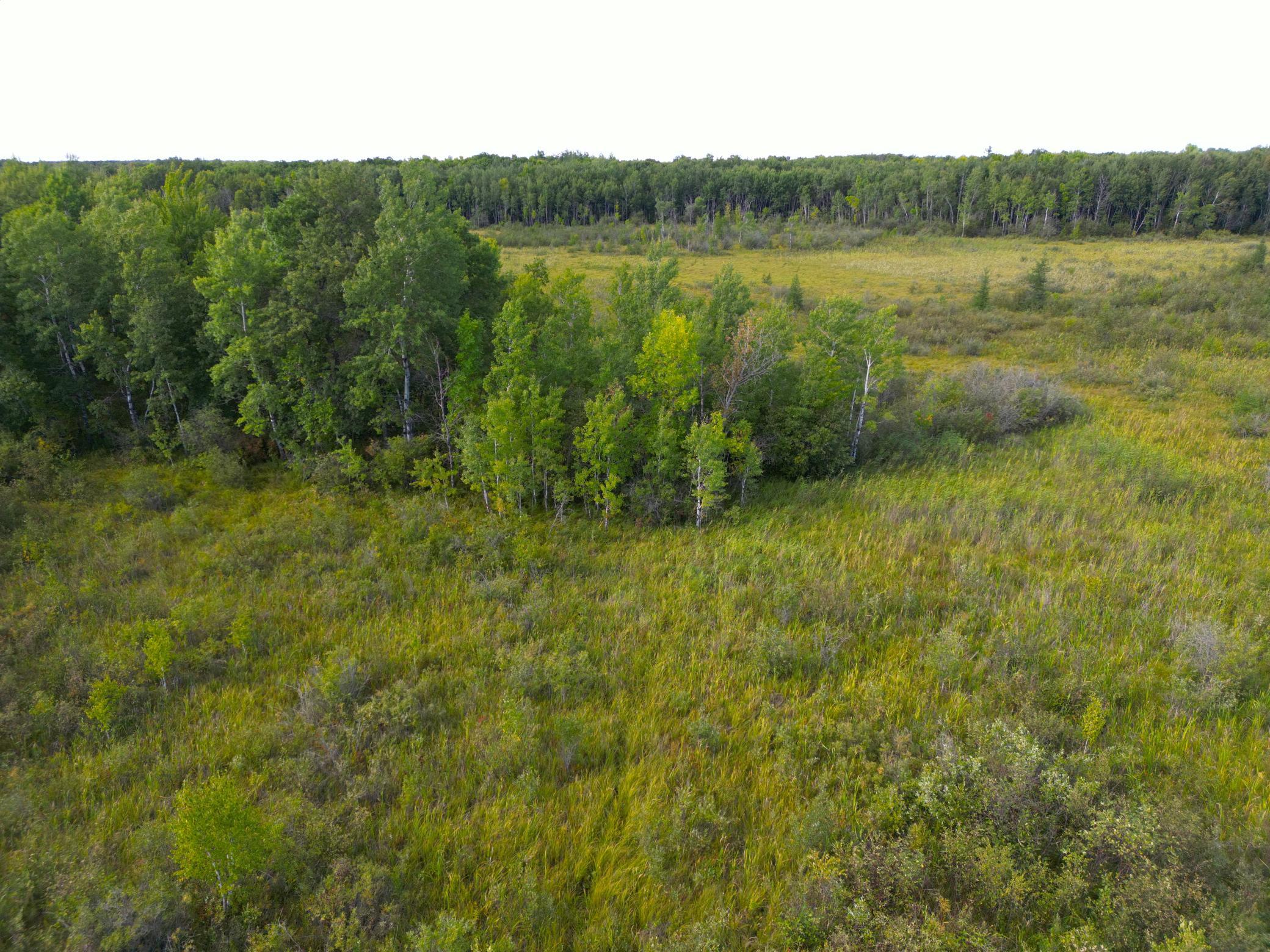 12084 County Road 144 Property Photo 17