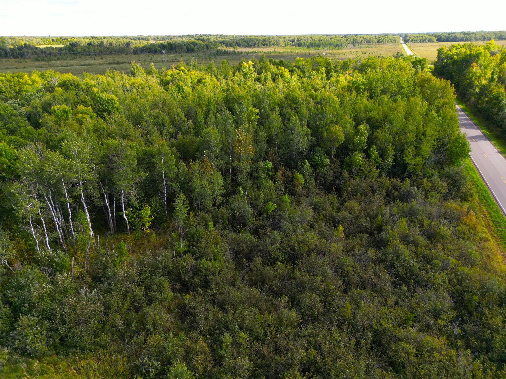 12084 County Road 144 Property Photo 22