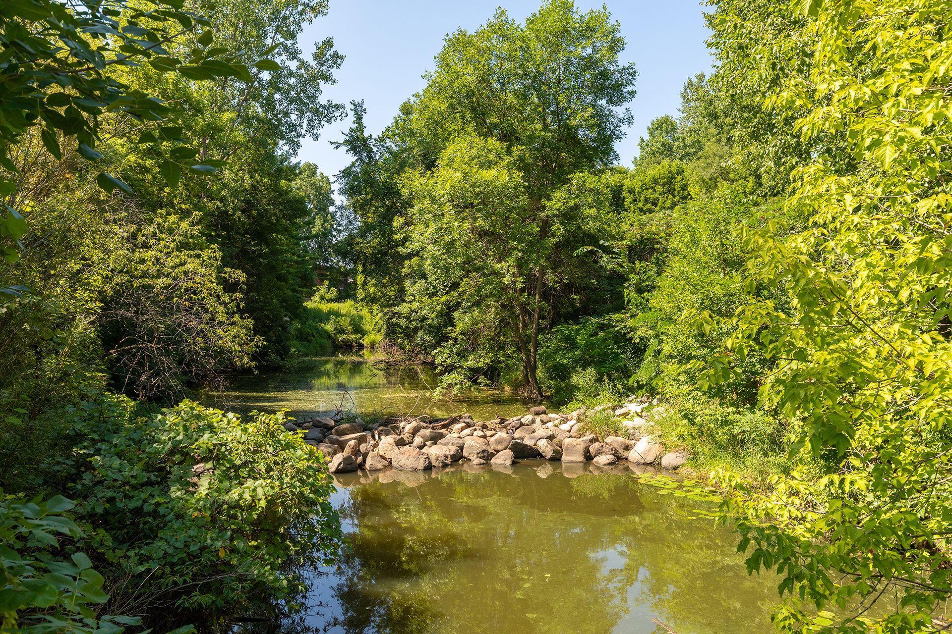 854 Palm Court Property Photo 46