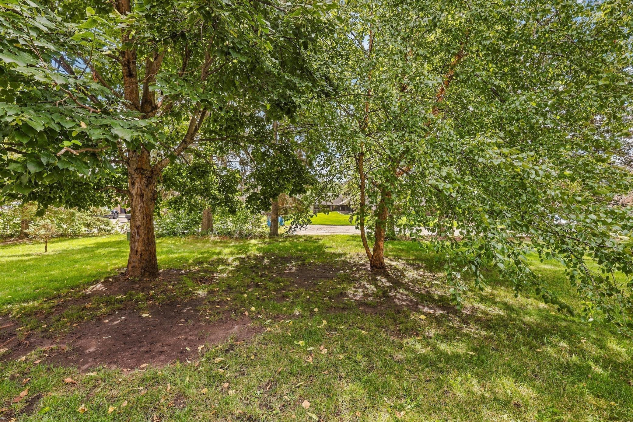 2032 Stockinger Drive Property Photo 20