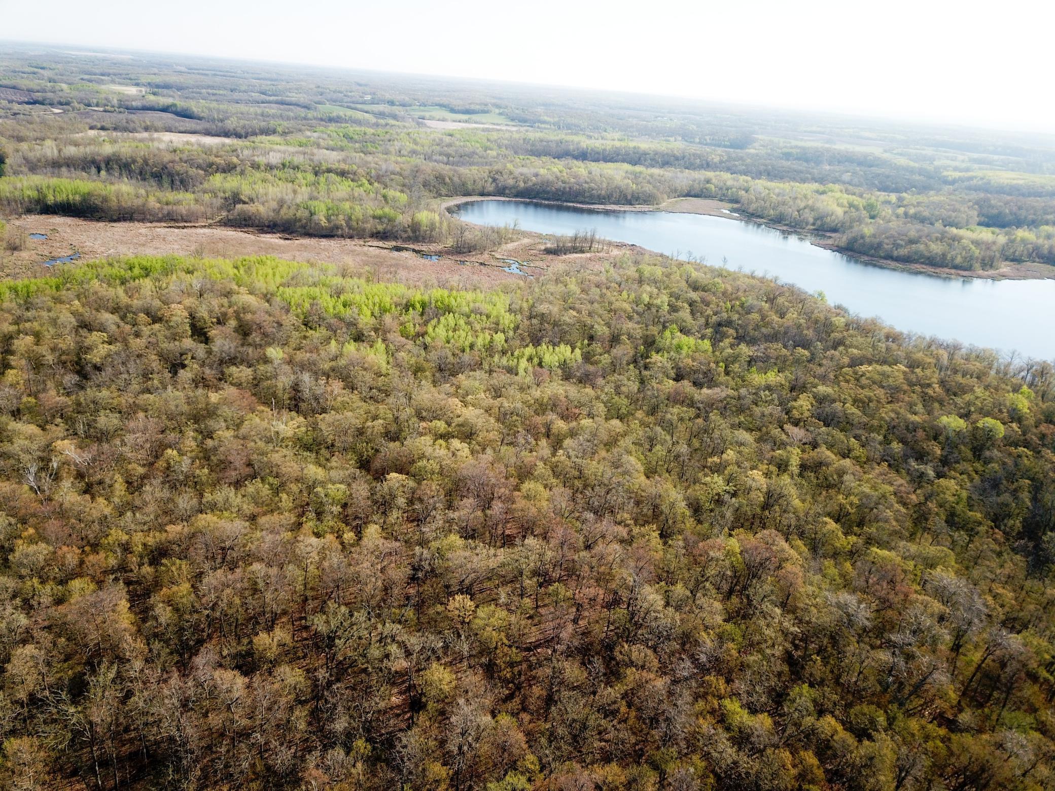 Tbd Csah 39 Property Photo 10