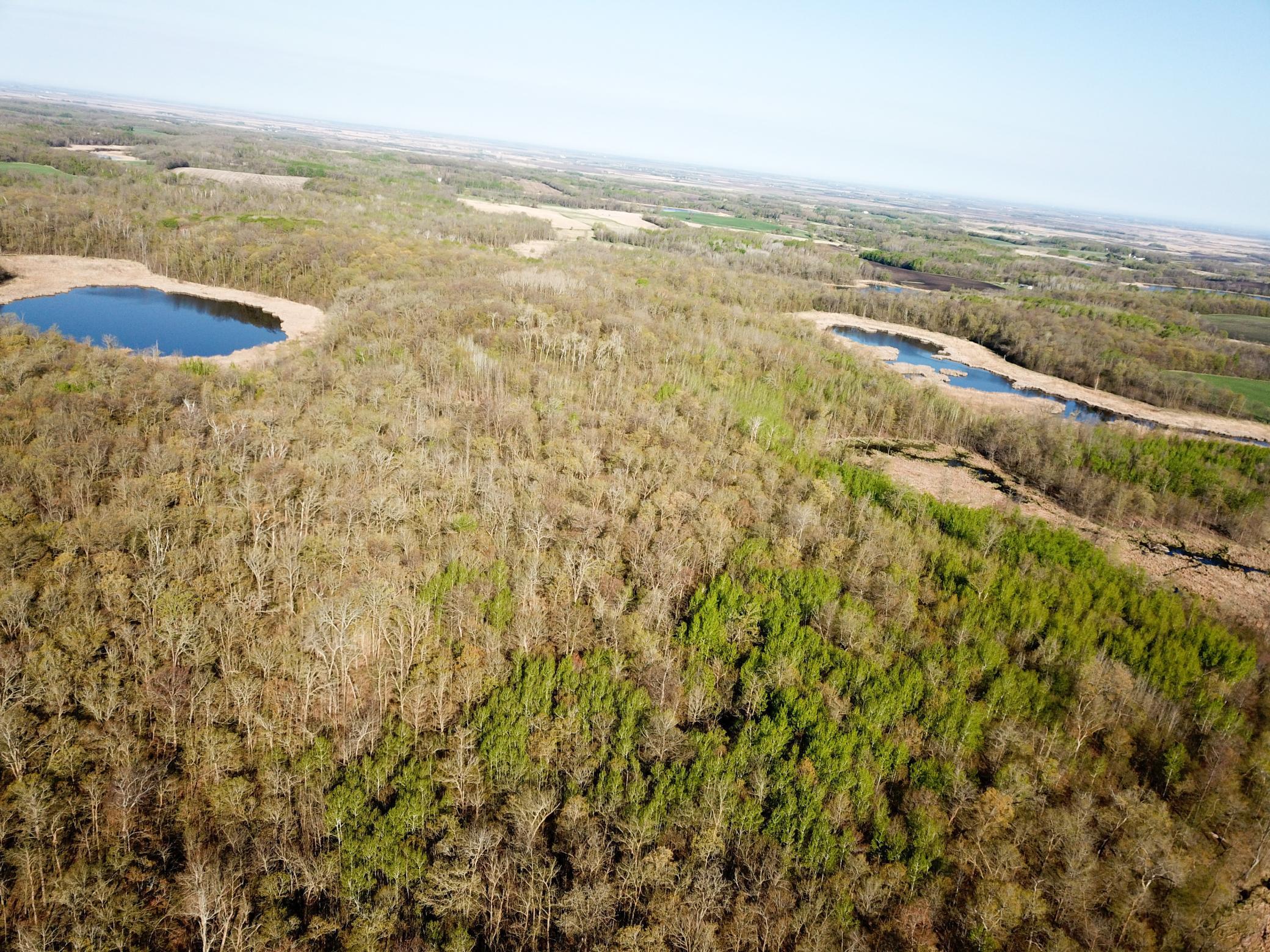 Tbd Csah 39 Property Photo 15