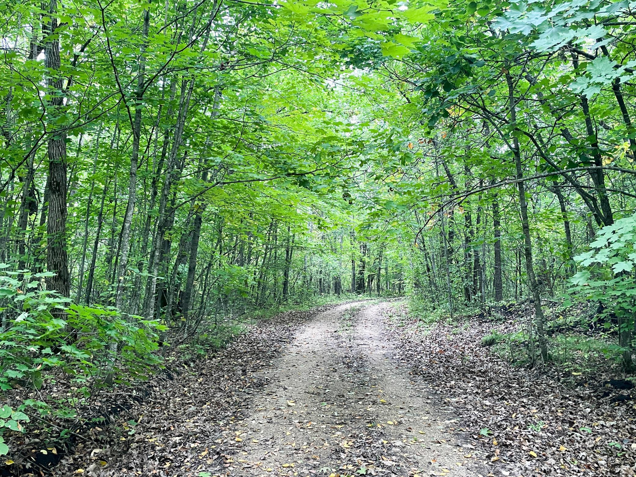Tbd Csah 39 Property Photo 21