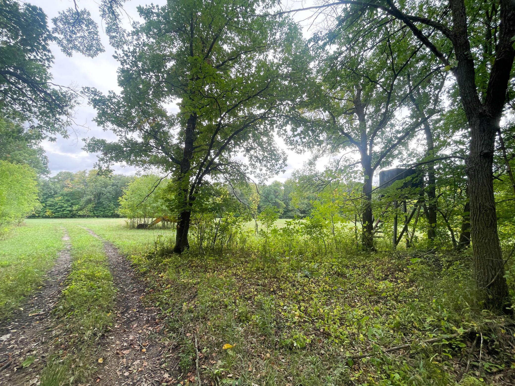 Tbd Csah 39 Property Photo 24