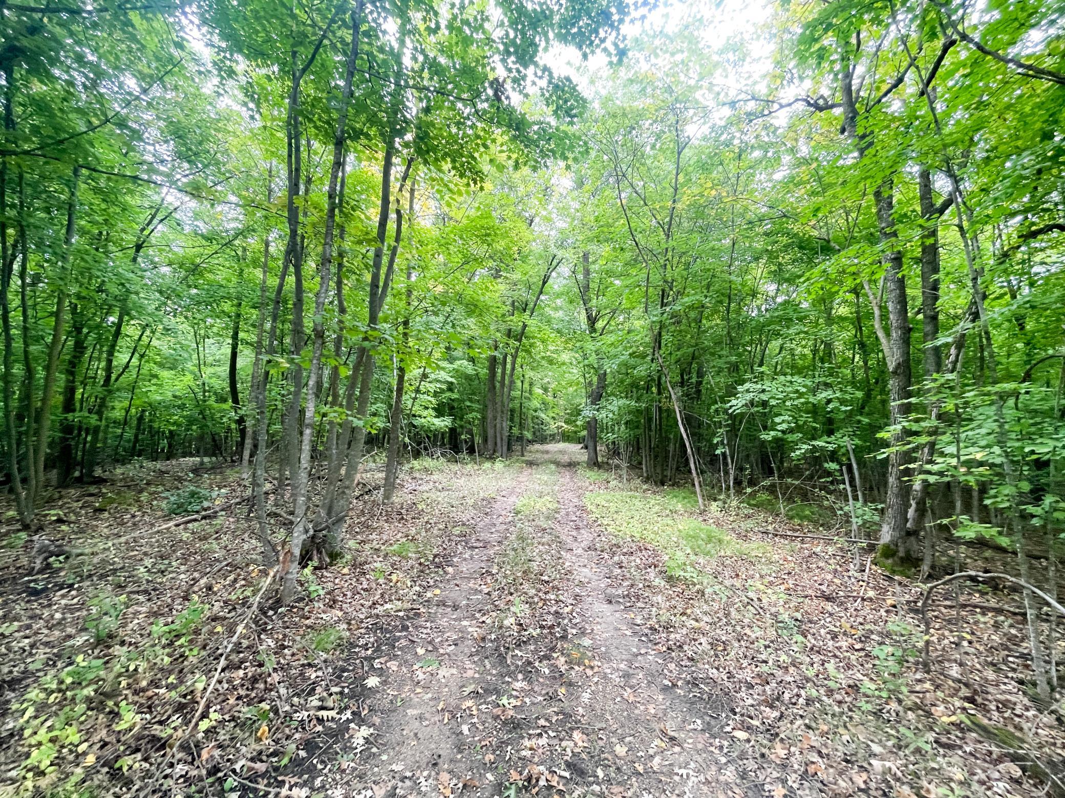 Tbd Csah 39 Property Photo 25