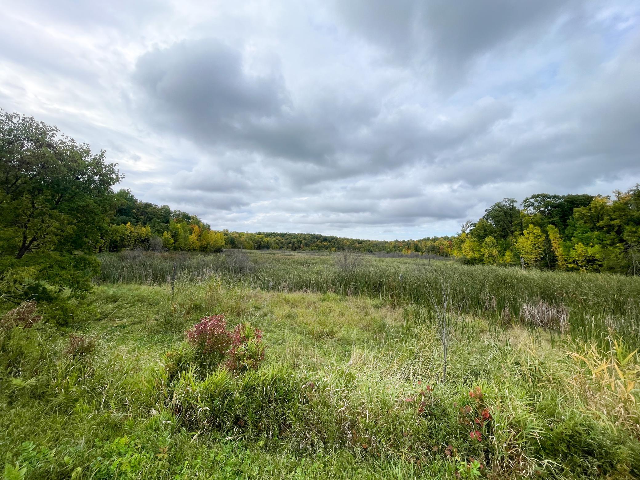 Tbd Csah 39 Property Photo 26