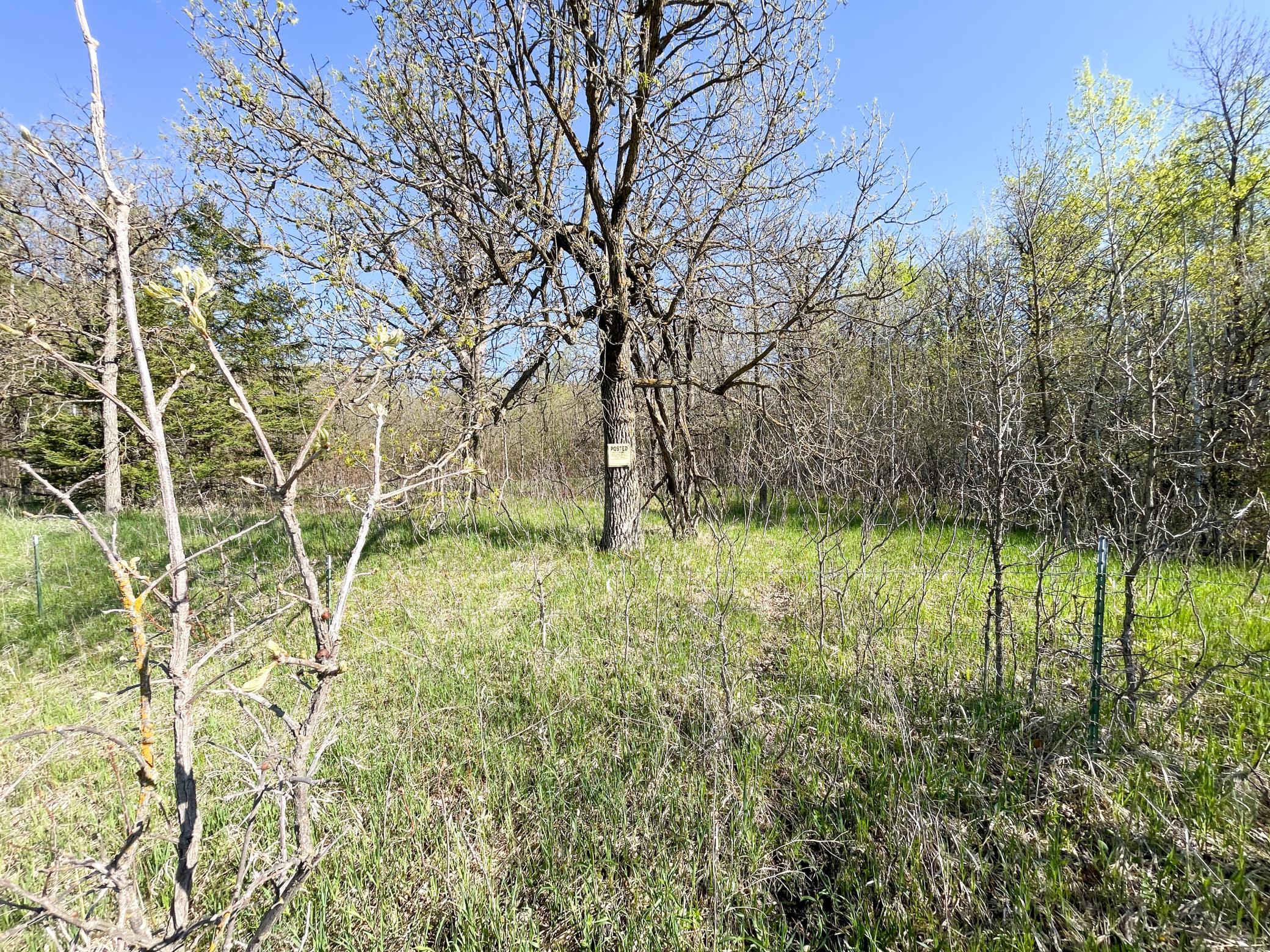 Tbd Csah 39 Property Photo 30